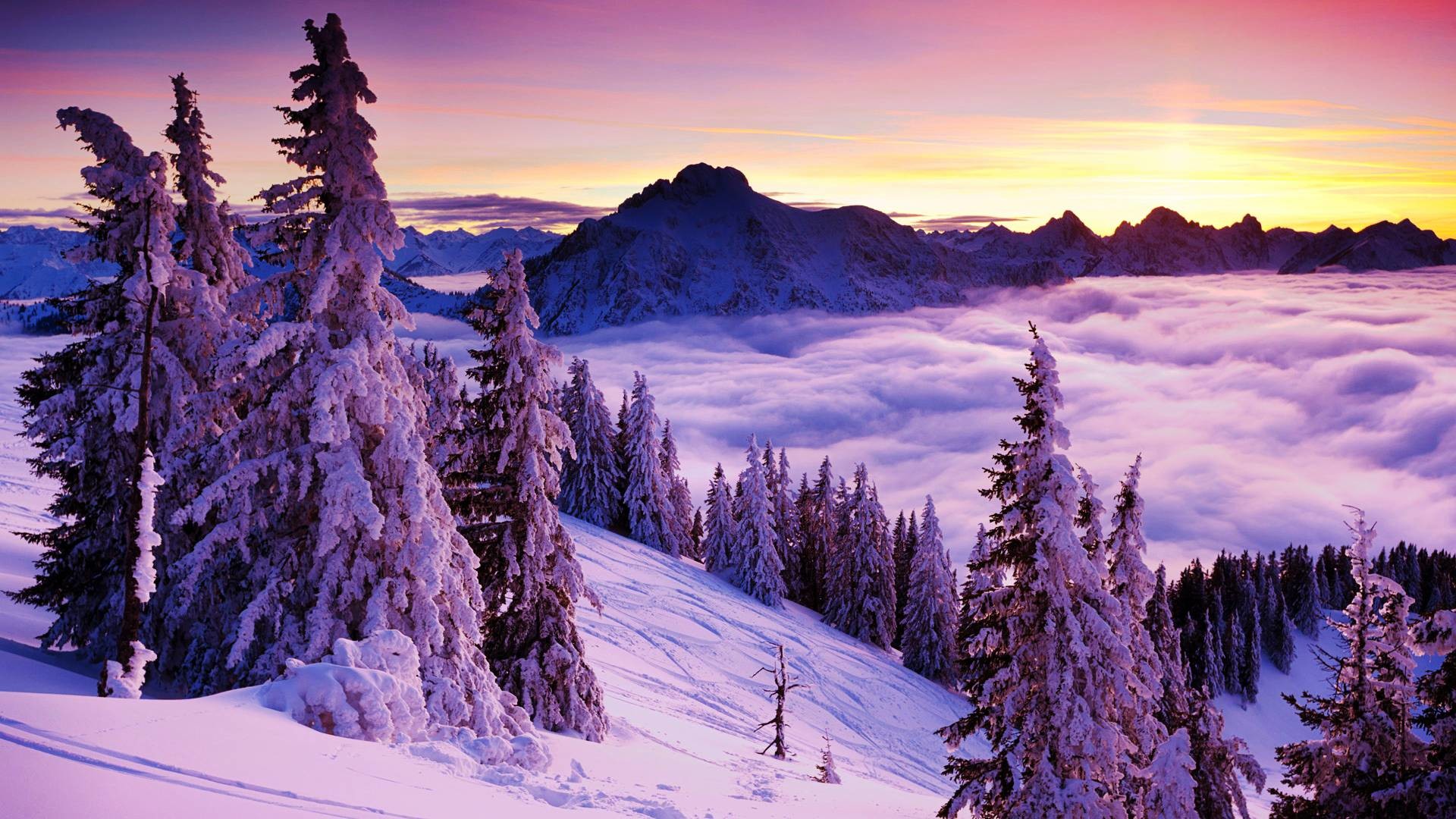 Winter Landscape Wallpaper 80 Pictures