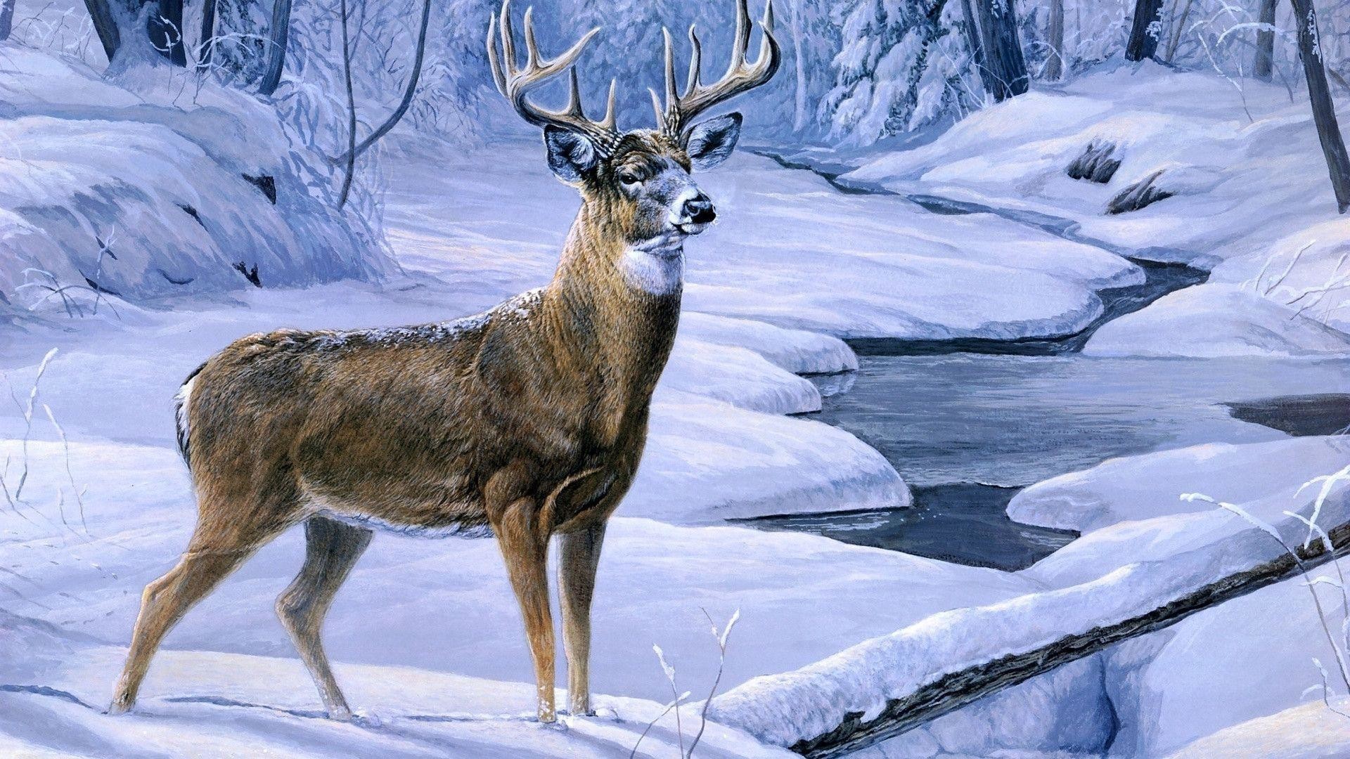 deer hunting wallpaper for computer 56 pictures