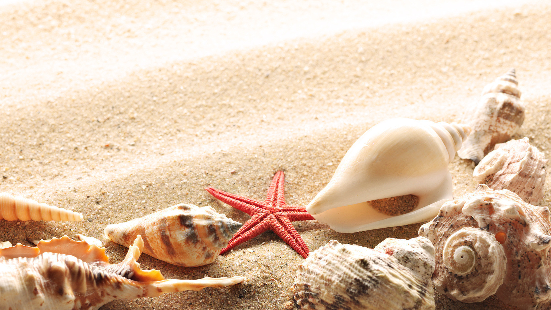 Free Summer Backgrounds Â« 1920x1080