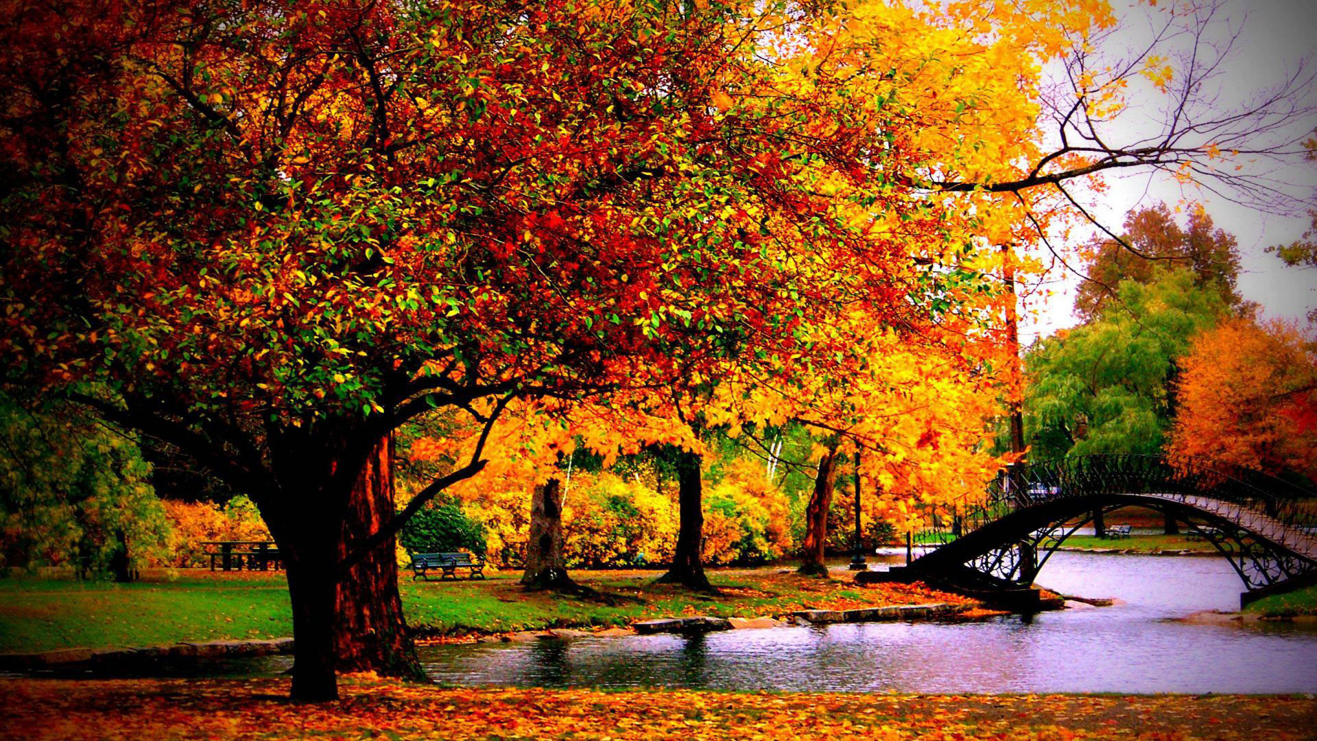 fall-autumn-wallpaper-60-pictures