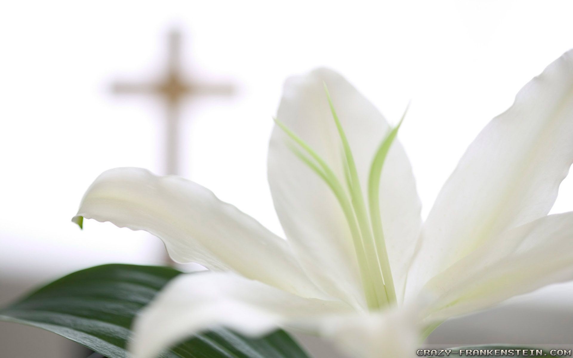 Download A Scene of Faith Reflection and Prayer on Easter Sunday Wallpaper   Wallpaperscom