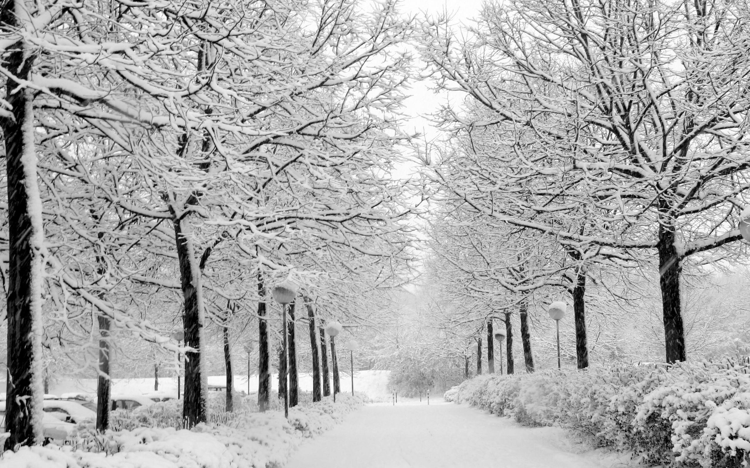 Wallpapers For > Snow Desktop Backgrounds 2560x1600