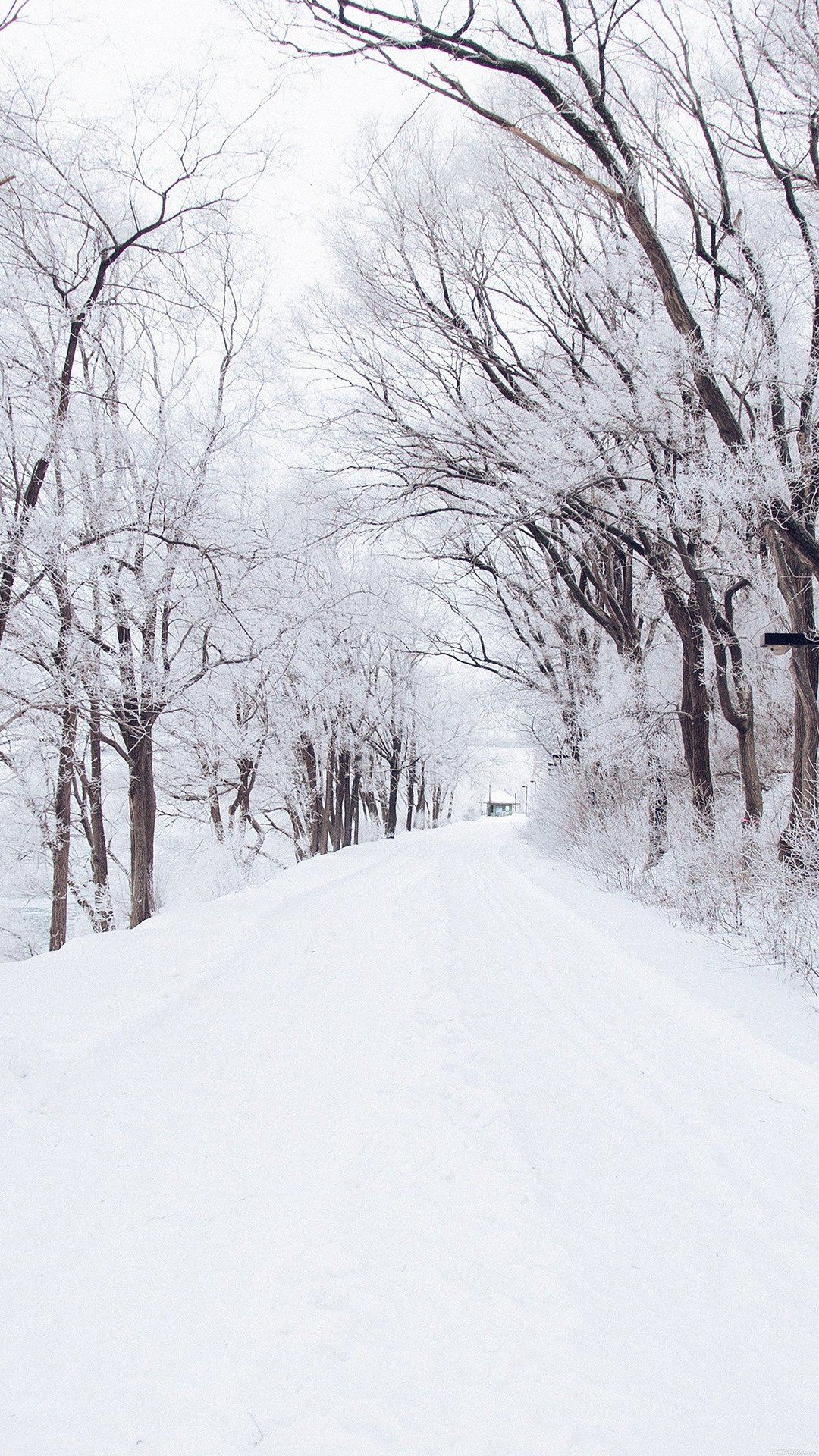 ... Winter Road Romantic Nature Snow White iPhone 8 wallpaper. 1080x1920