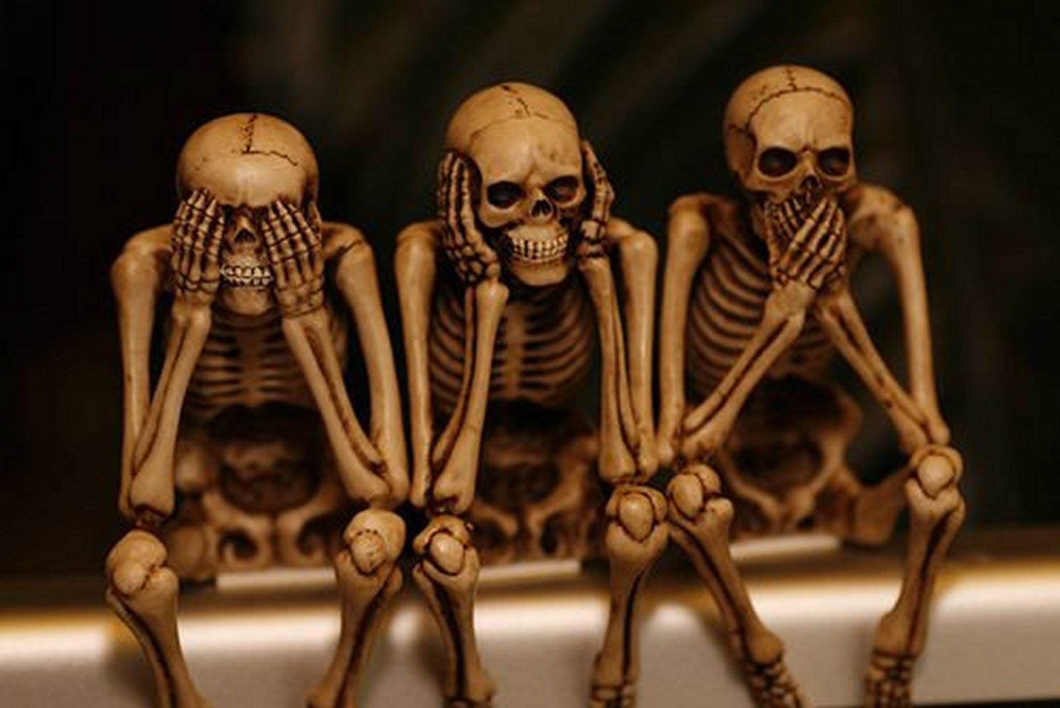 Skeleton Wallpaper 55 Pictures