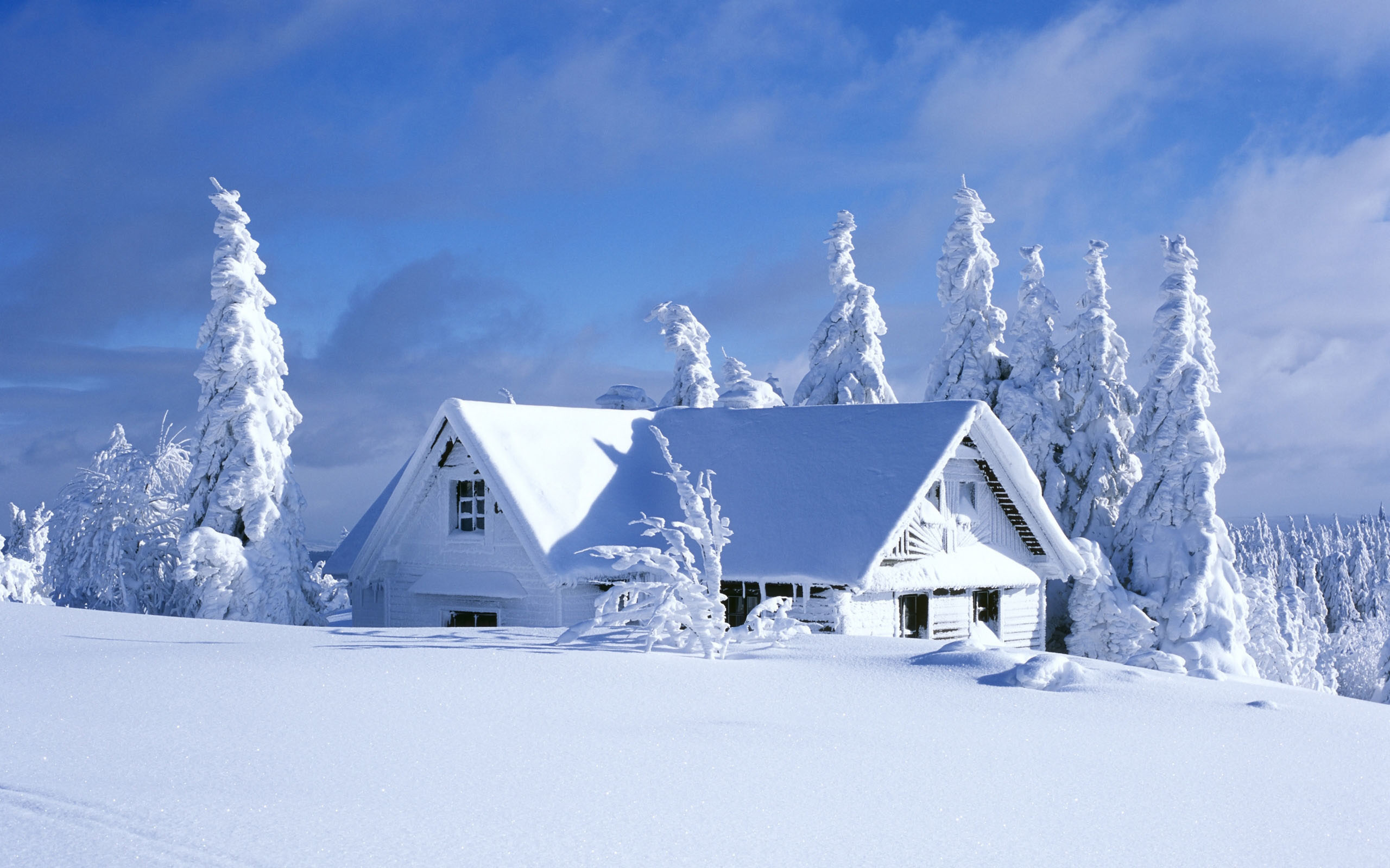 wallpaper winter wallpaper hd best winter wallpapers best winter . 2560x1600