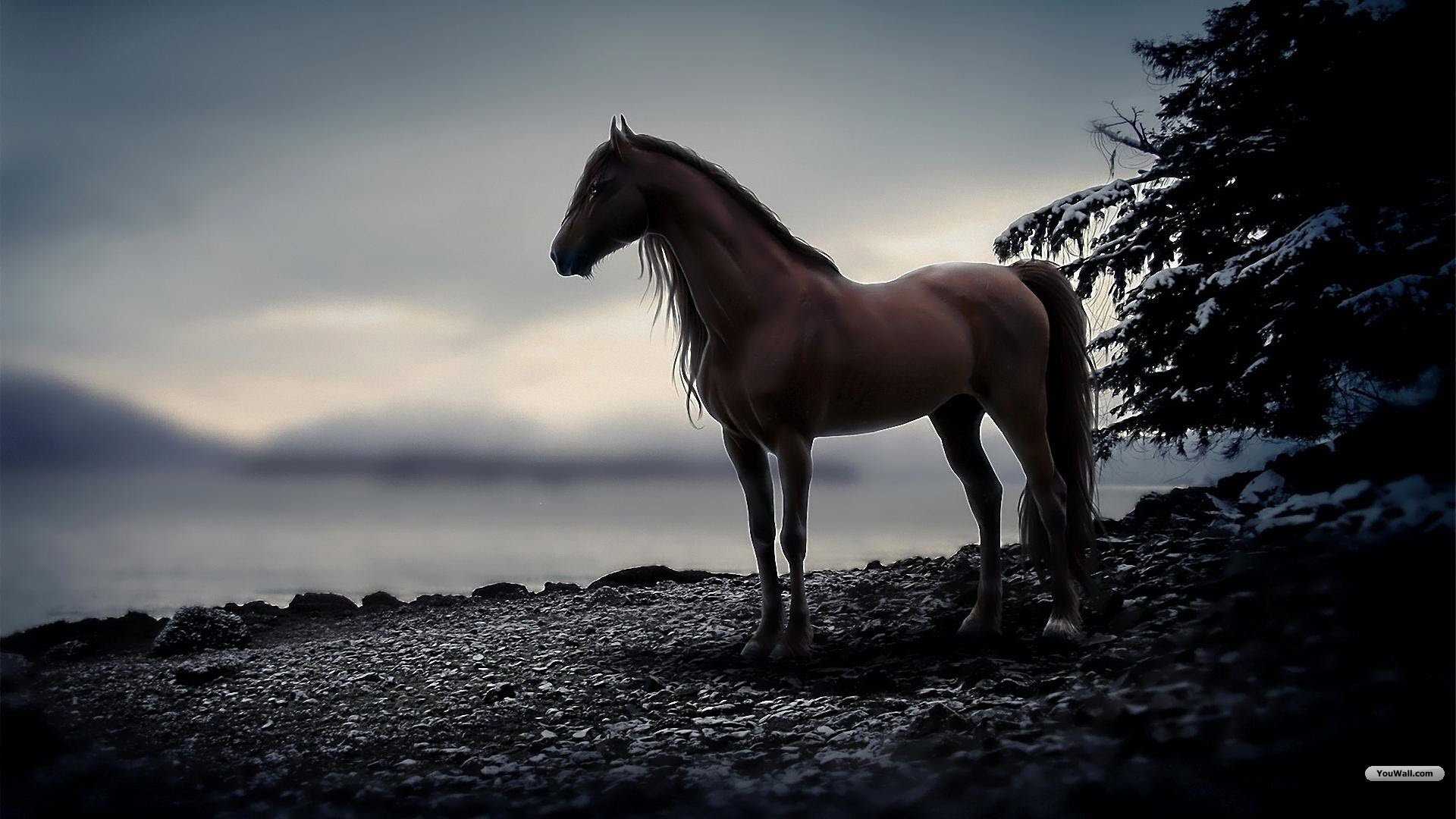 Wallpaper 4K Para Pc Cavalo Wallpaper 4K Horse HYDODZ
