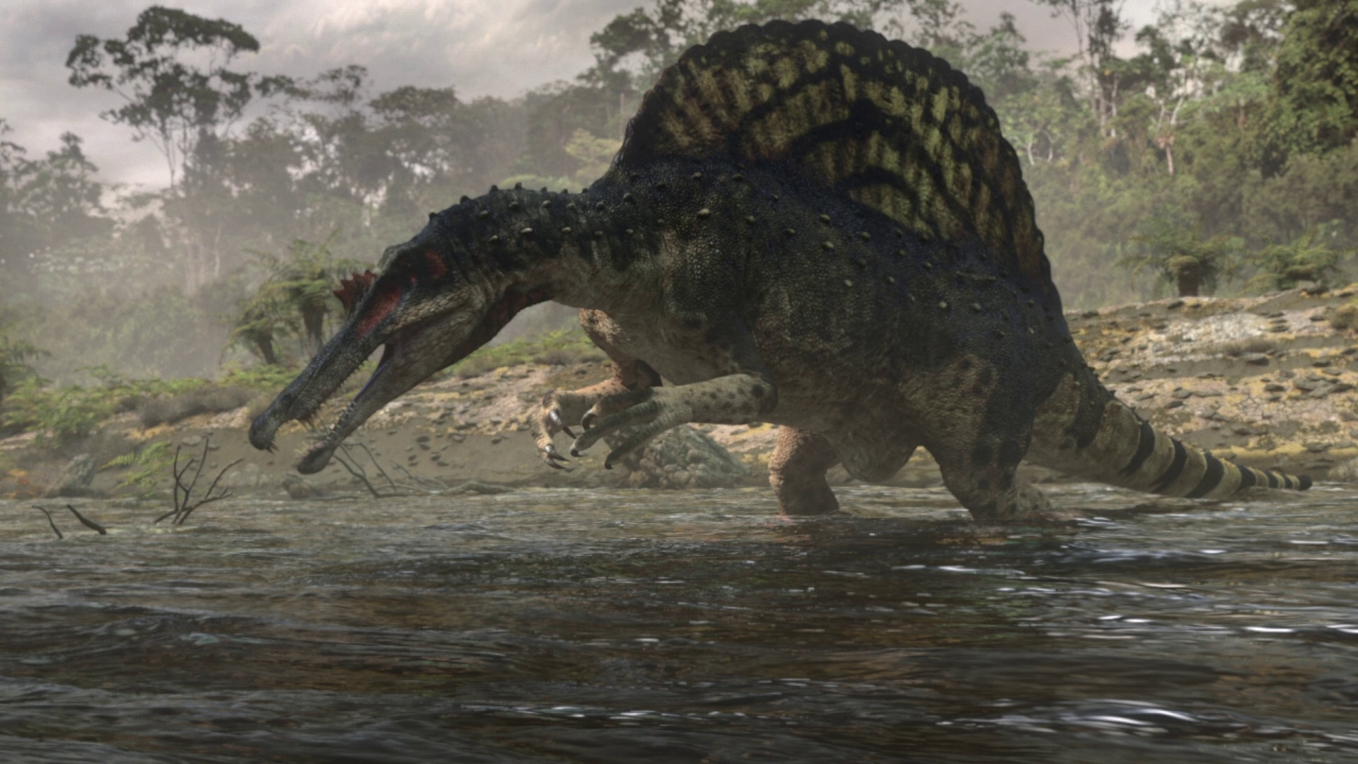 Spinosaurus Wallpaper (74+ Pictures) - WallpaperSet