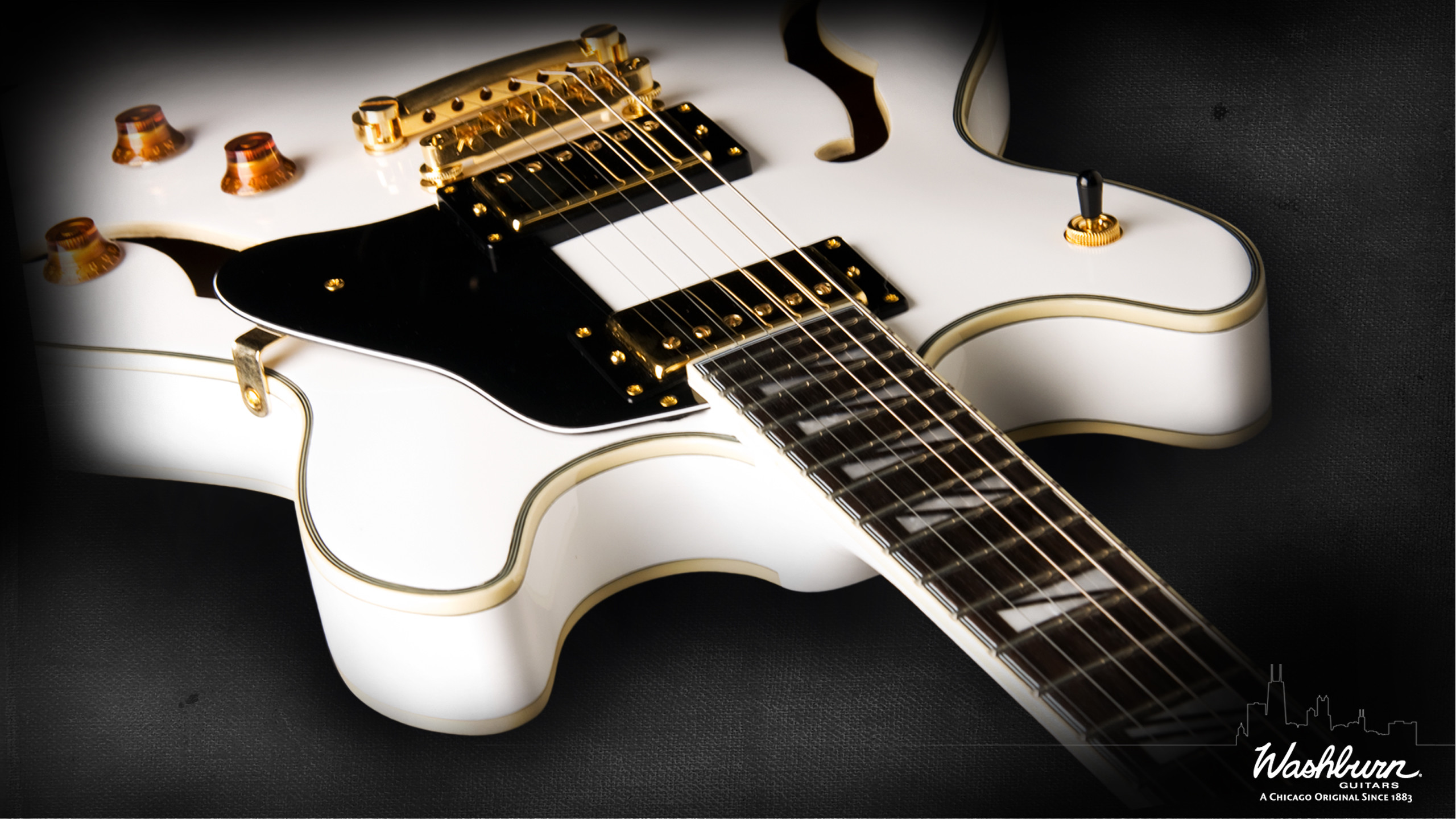 Washburn Guitars Wallpaper 2560x1440