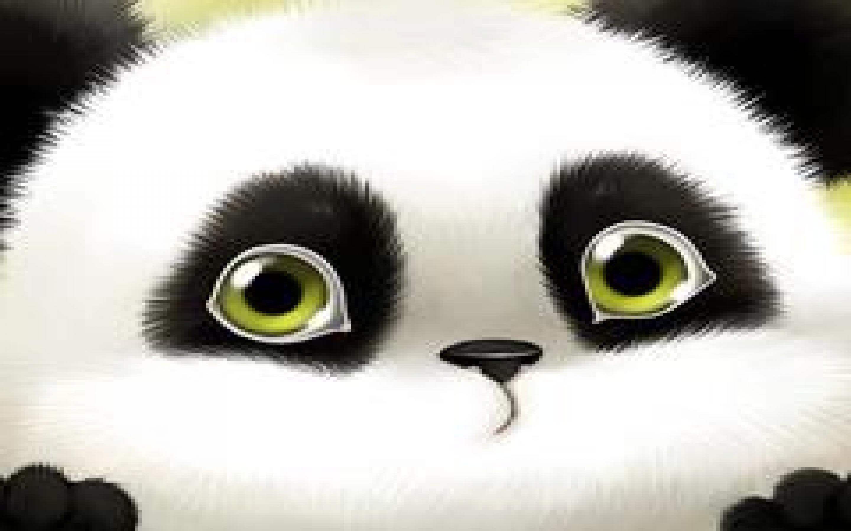 Panda Cartoon Wallpaper (73+ pictures)