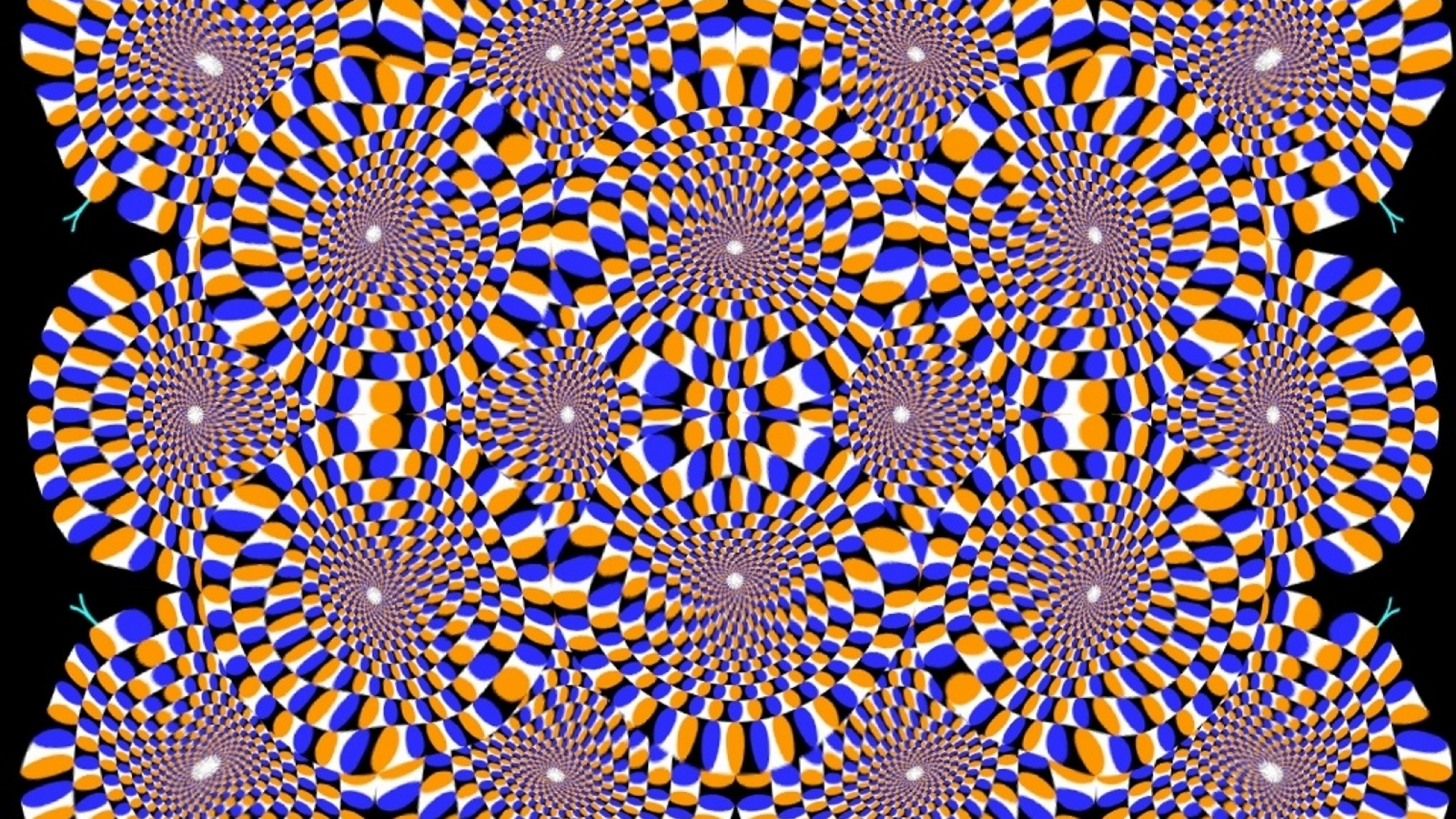 Optical Illusion Hurt Your Eyes Keep Distance 3d Wallpaper Stock  Illustration  Illustration of pattern eyes 233136351