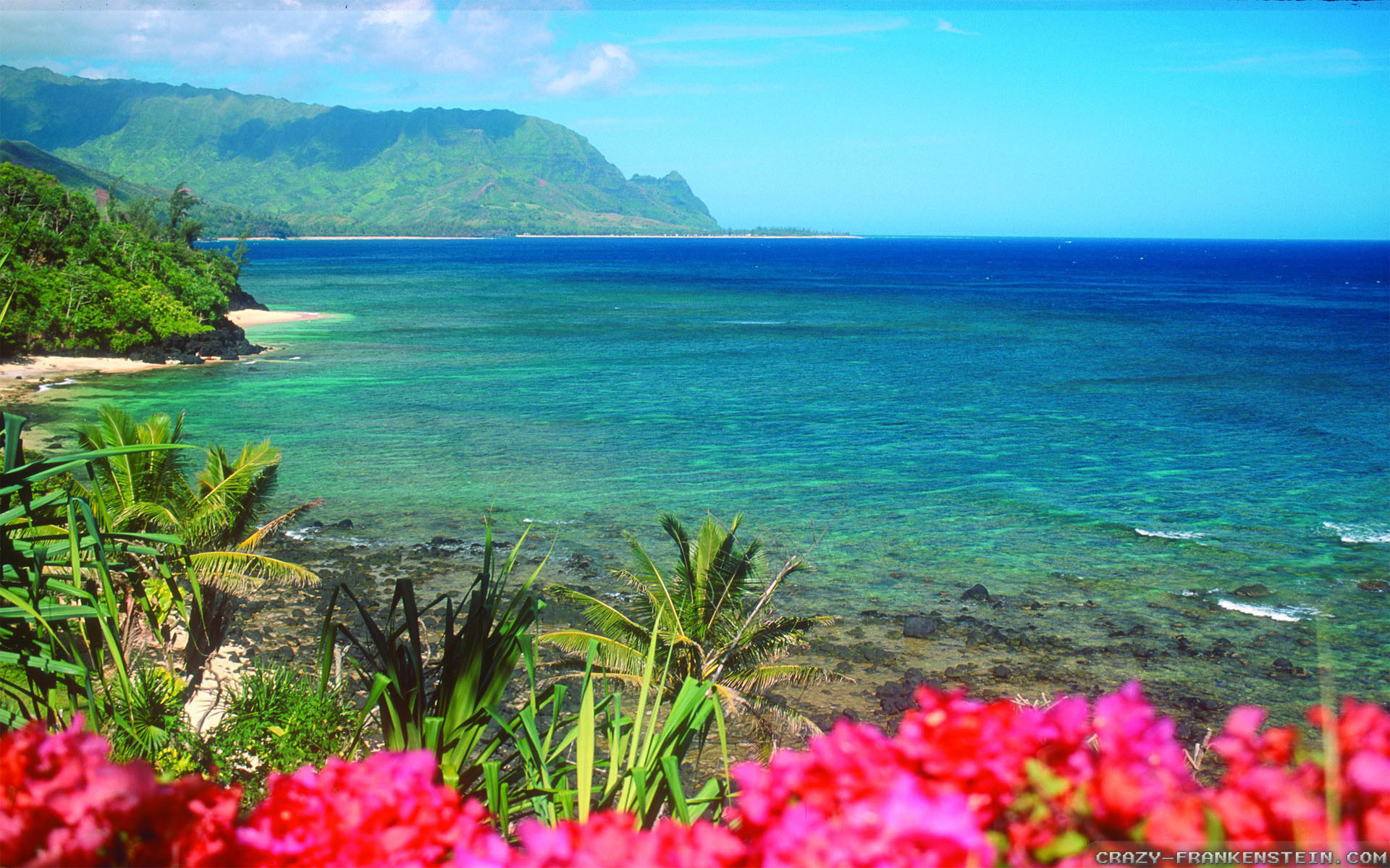 Hình nền Hawaii - Hãy tận hưởng vẻ đẹp tràn ngập của đảo Hawaii với hình nền này. Với các tầng tro xám của núi lửa, những bức tường đá vôi đáng ngạc nhiên, và những bãi biển trắng tinh khôi, bạn sẽ gần như cảm nhận được hơi thở đầy sức sống của thiên nhiên Hawaii trong khoảnh khắc đó.