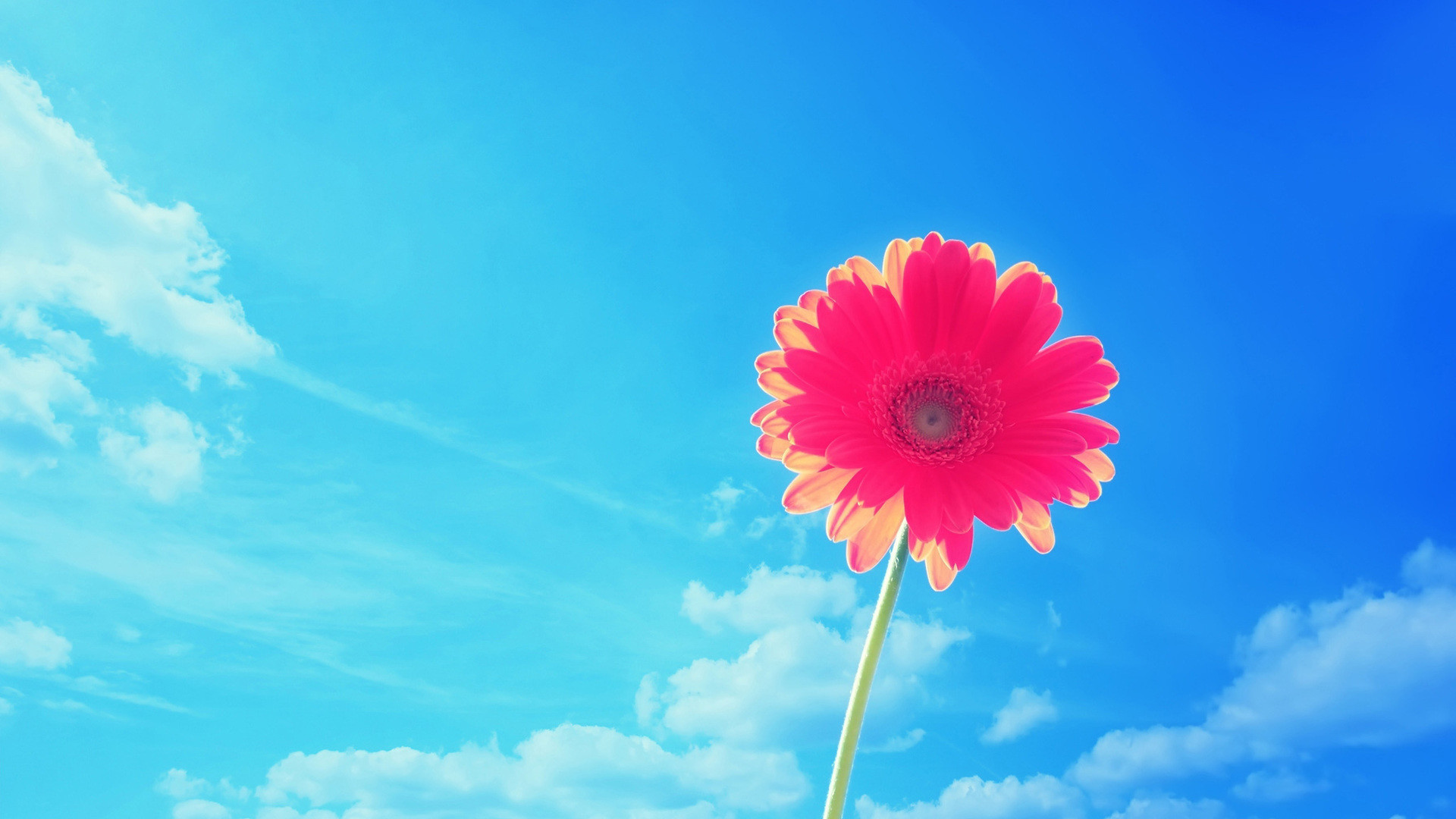 Bright 4K wallpapers for your desktop or mobile screen free and easy to  download