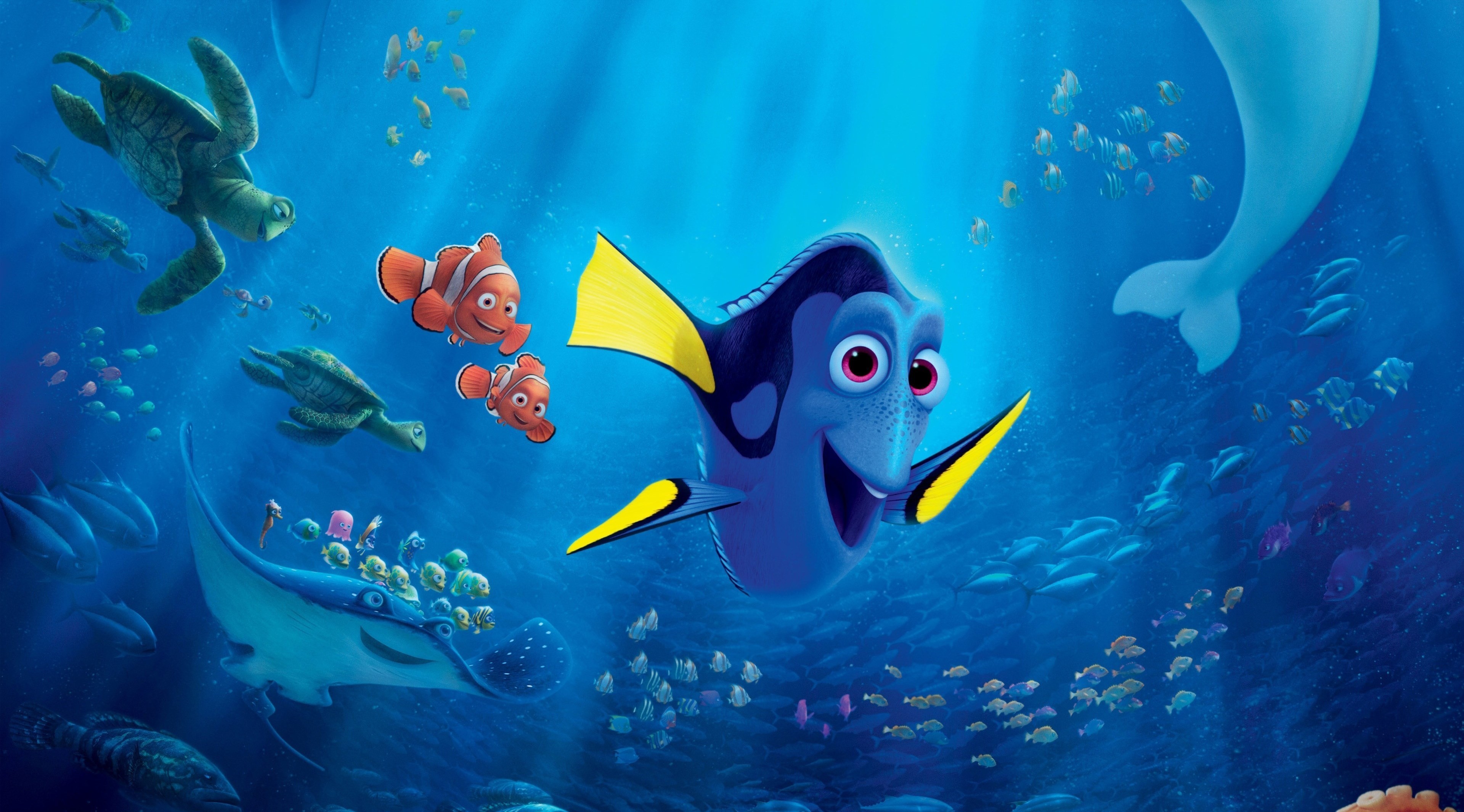 Download Finding Nemo Playful Characters Wallpaper  Wallpaperscom