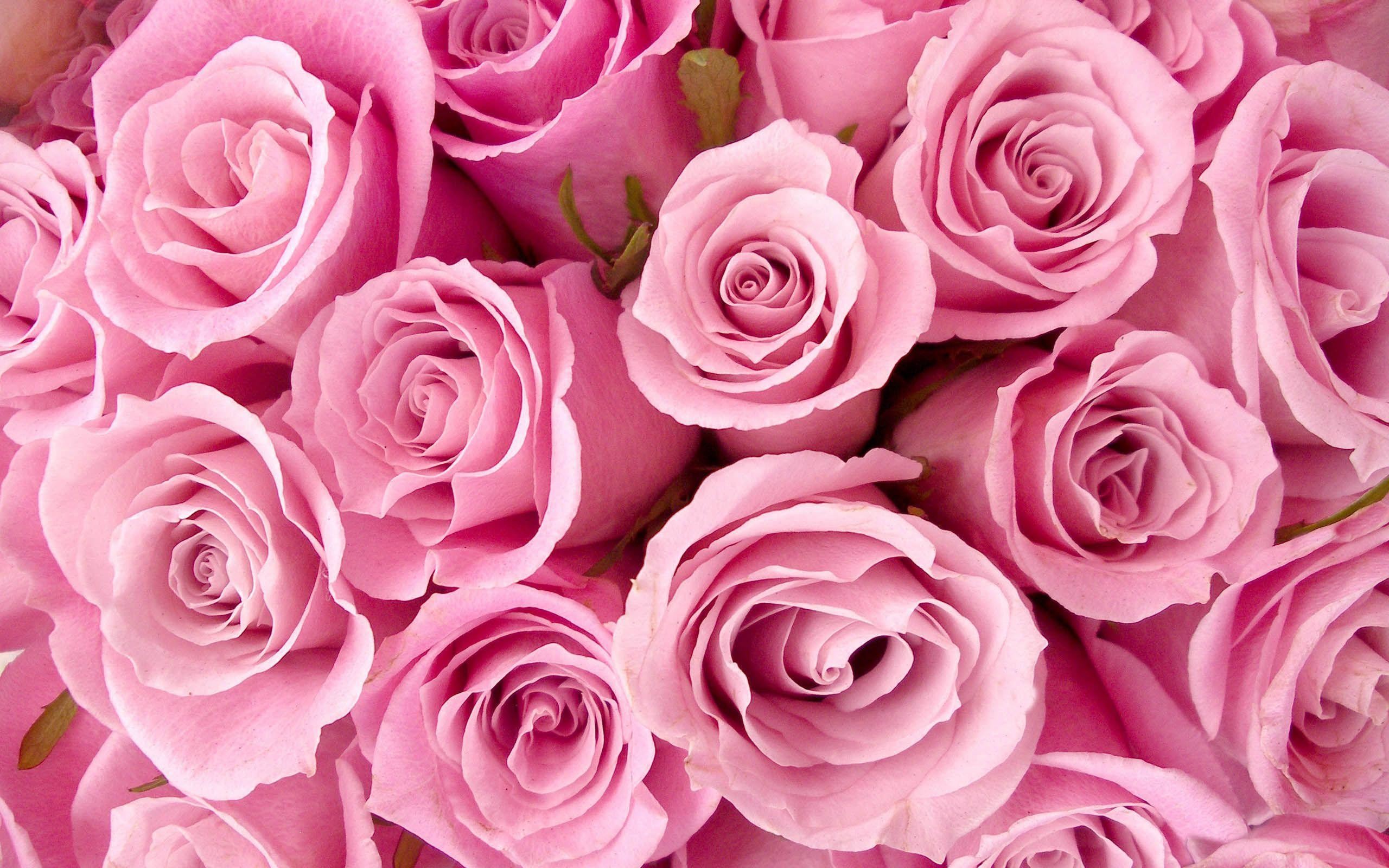 Nền hồng đẹp: Với tông màu hồng quyến rũ, nền hồng đẹp này sẽ đặt nền tảng cho một không gian sống đầy sức sống. Tận hưởng cảm giác nữ tính và tràn đầy sức sống khi bạn sống trong một không gian được trang trí với màu hồng tươi tắn này.