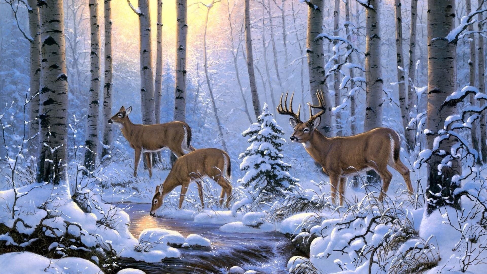 Discover 78+ whitetail deer wallpaper latest - in.coedo.com.vn