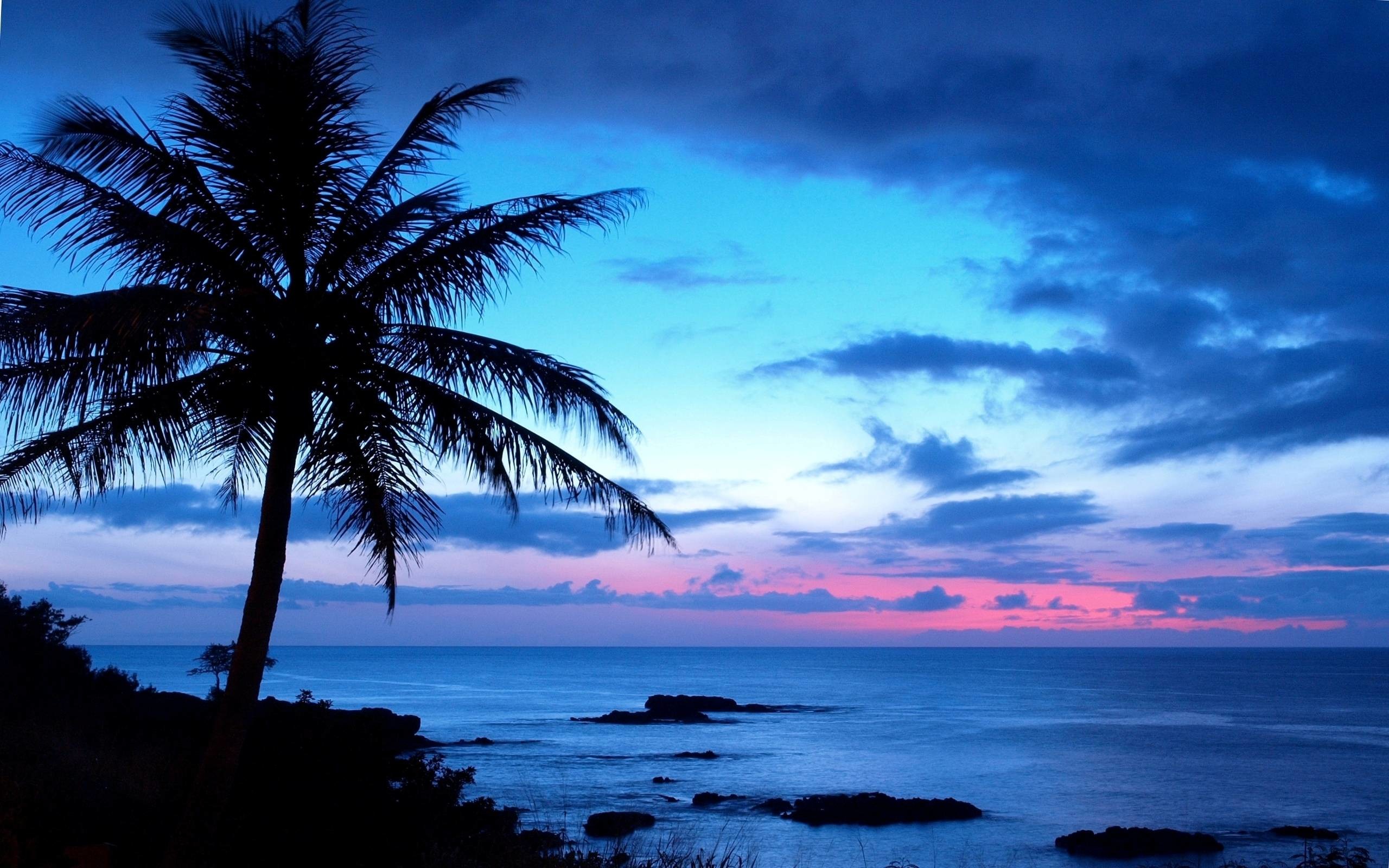 Hawaii Wallpapers - Full HD wallpaper search 2560x1600