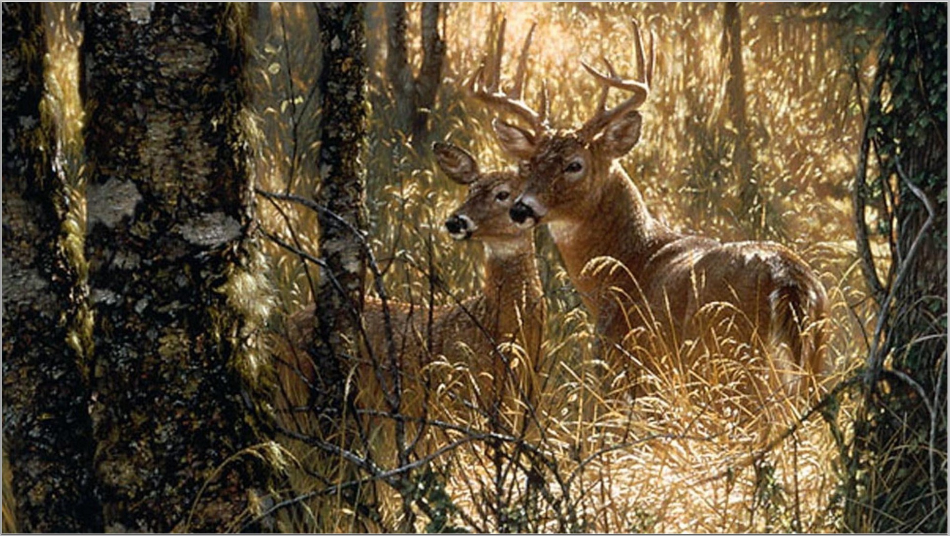 Олень в березах. Американская художница Crista Forest картины. Пейзаж с животными. Олень в лесу.