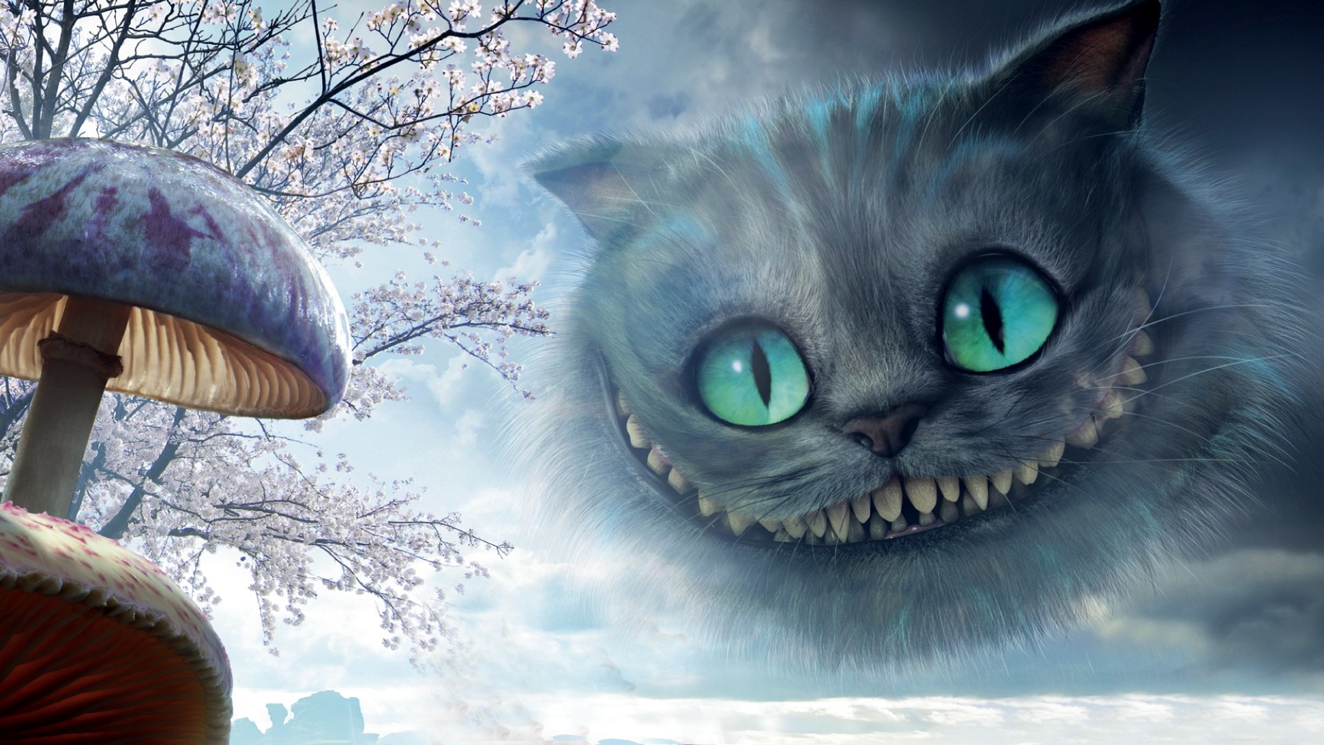 Cheshire Cat Wallpapers  Top 30 Best Cheshire Cat Wallpapers  HQ