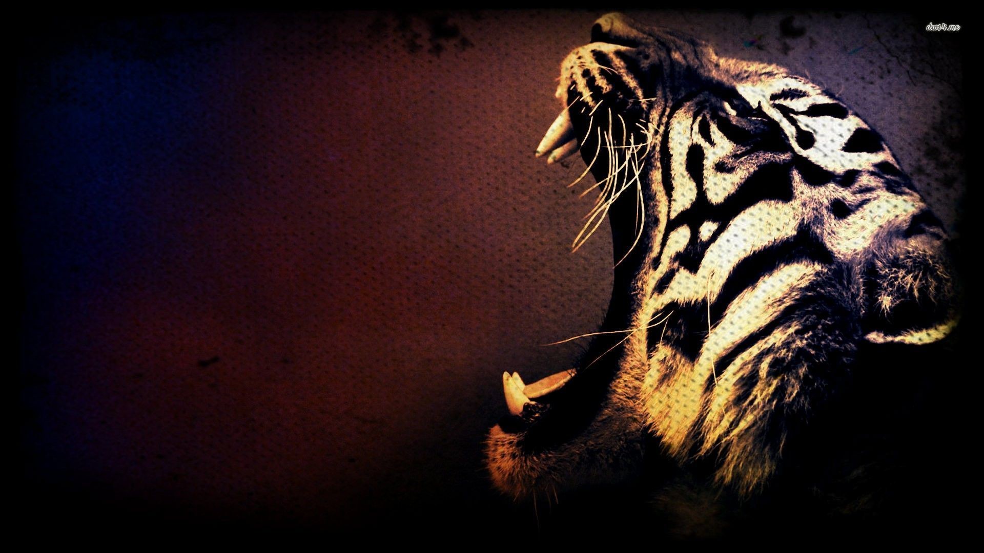 Tigers Backgrounds 64 Pictures