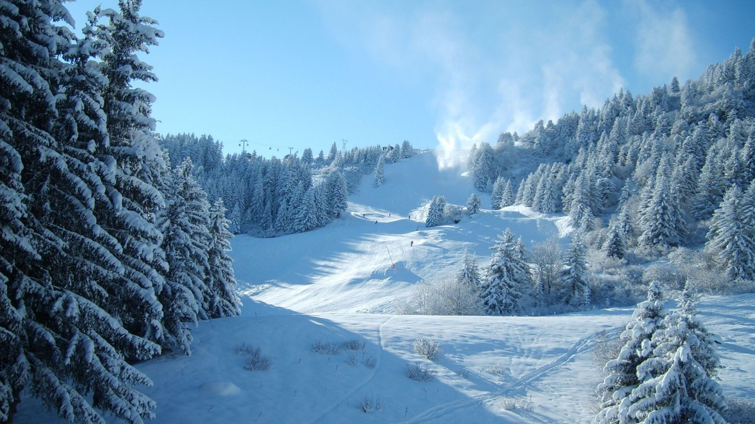 Winter Forest Wallpapers, Desktop Backgrounds, Free Images Download | Akspic 2560x1440