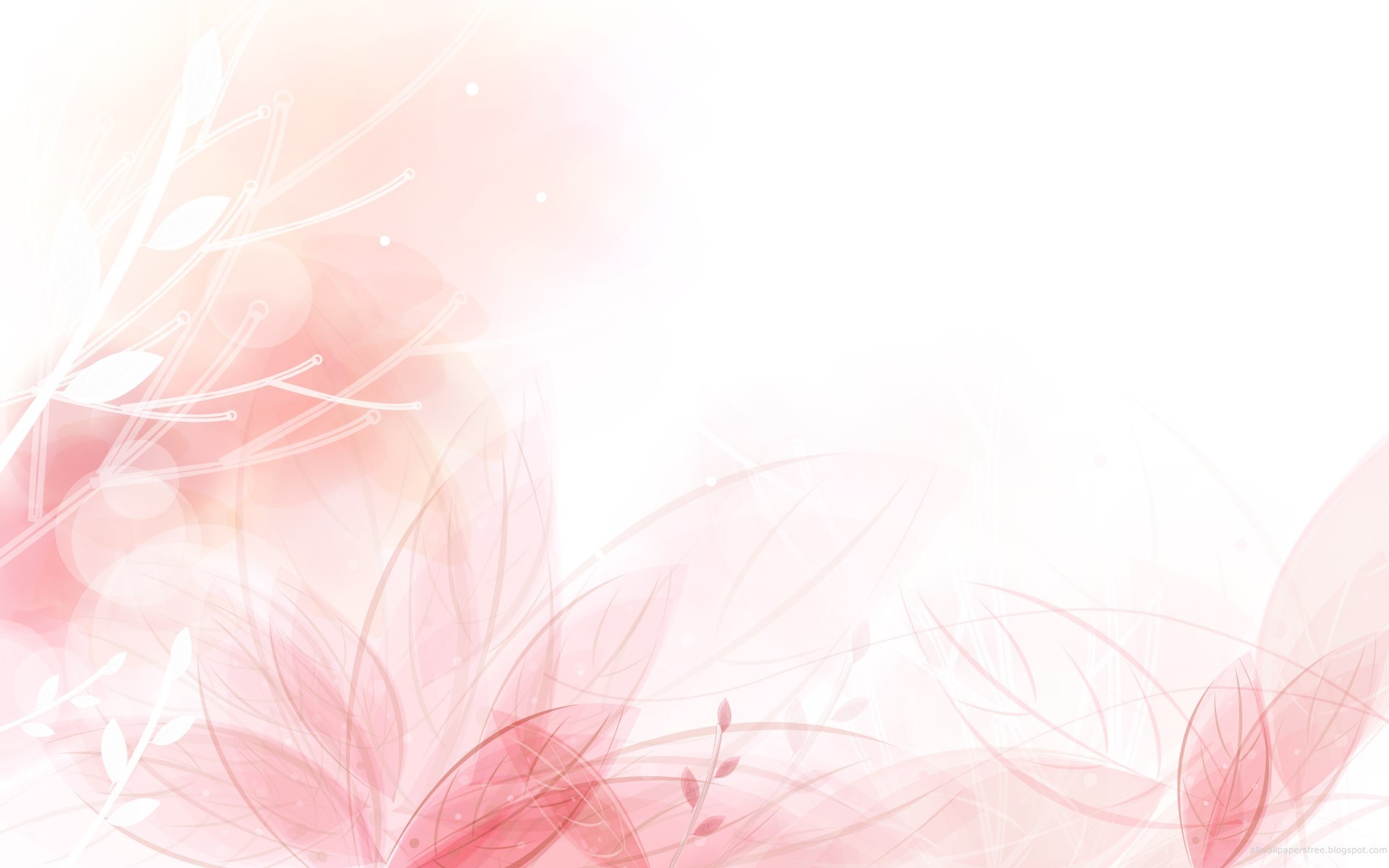 Background Pink Flower wallpaper 1920x1200