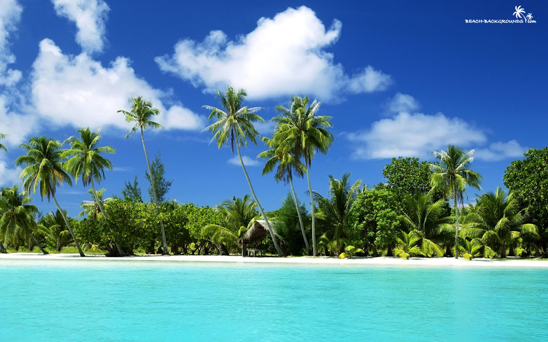 1920x1200 Keywords Tropical Beach Desktop Wallpaper and Tags 1920Ã—1200 1920x1200