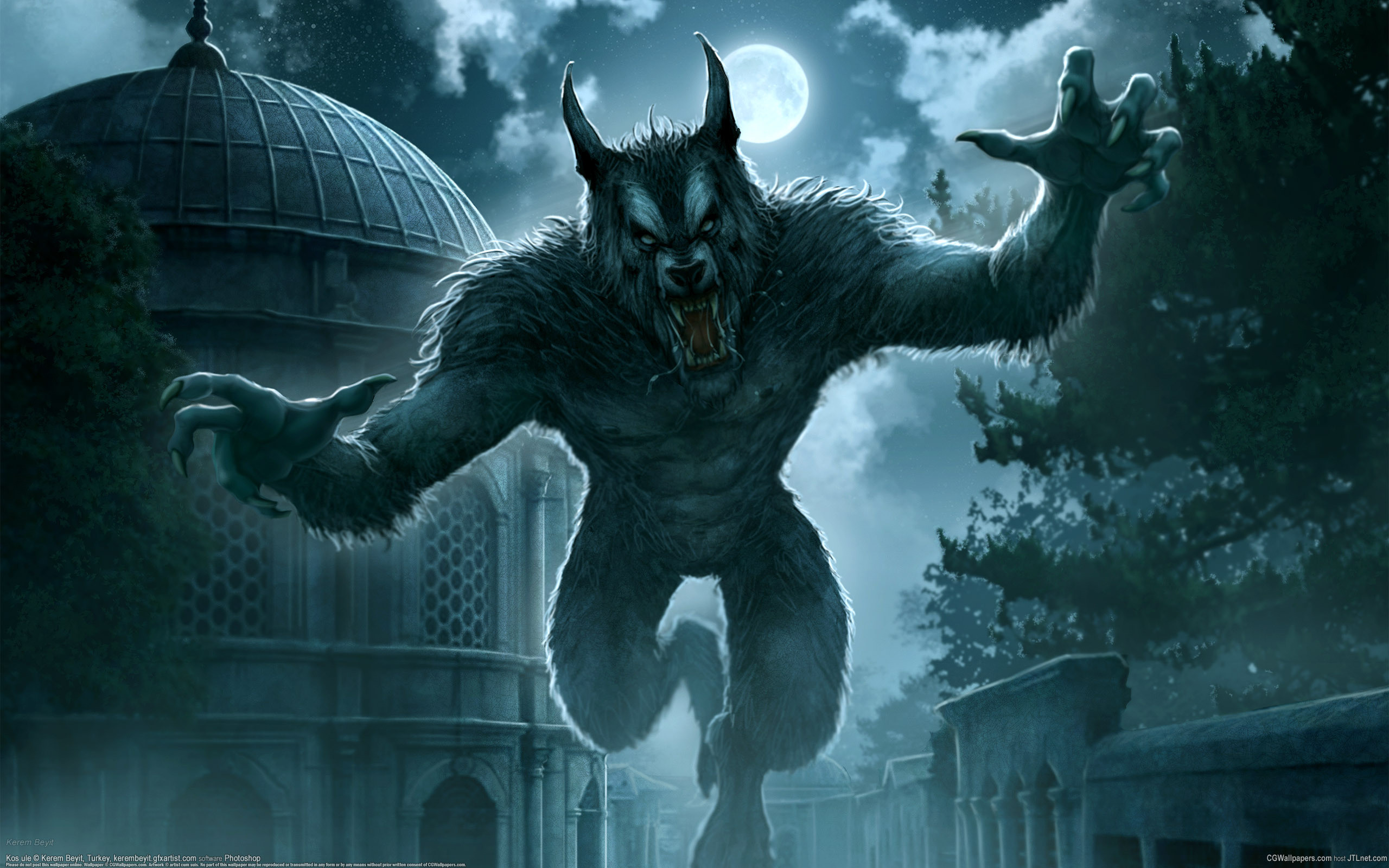 Werewolf wolf animals angry note 8 fantasy lycan HD phone wallpaper   Peakpx