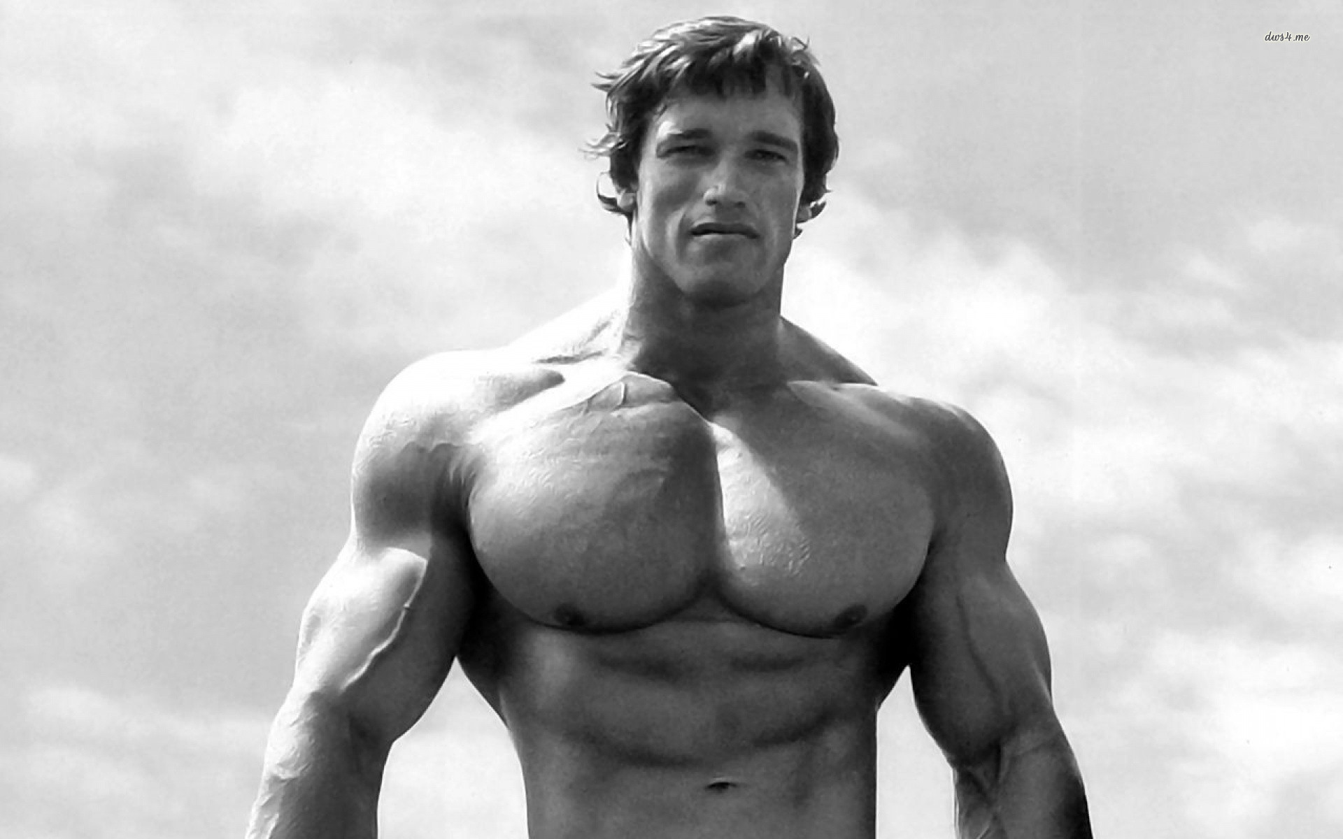 arnold schwarzenegger bodybuilding POSTER HD Wallpaper Background Fine Art  Paper Fine Art Print  Movies posters in India  Buy art film design  movie music nature and educational paintingswallpapers at Flipkartcom