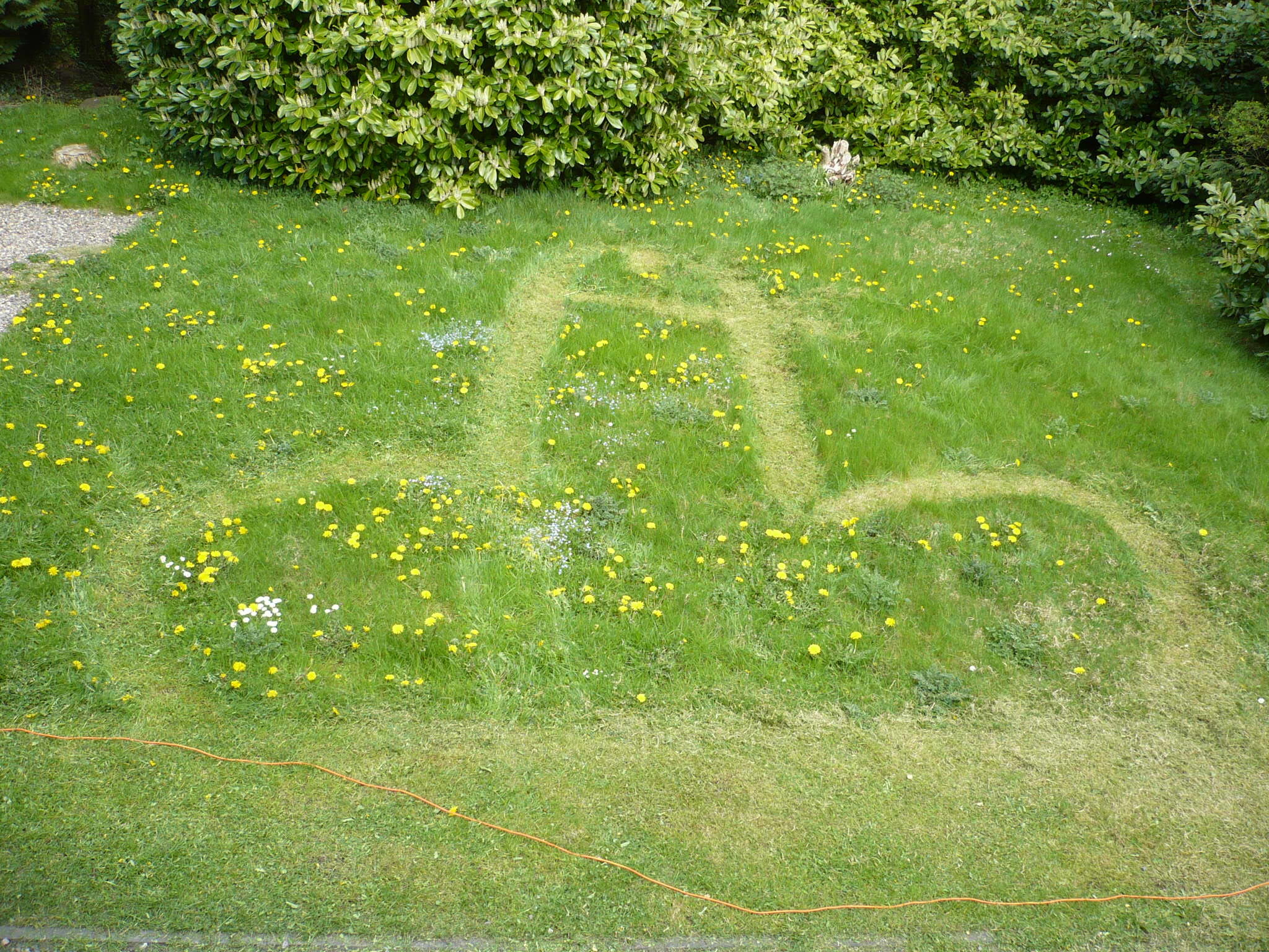 OT: Alien crop circle in my garden!!! 2048x1536