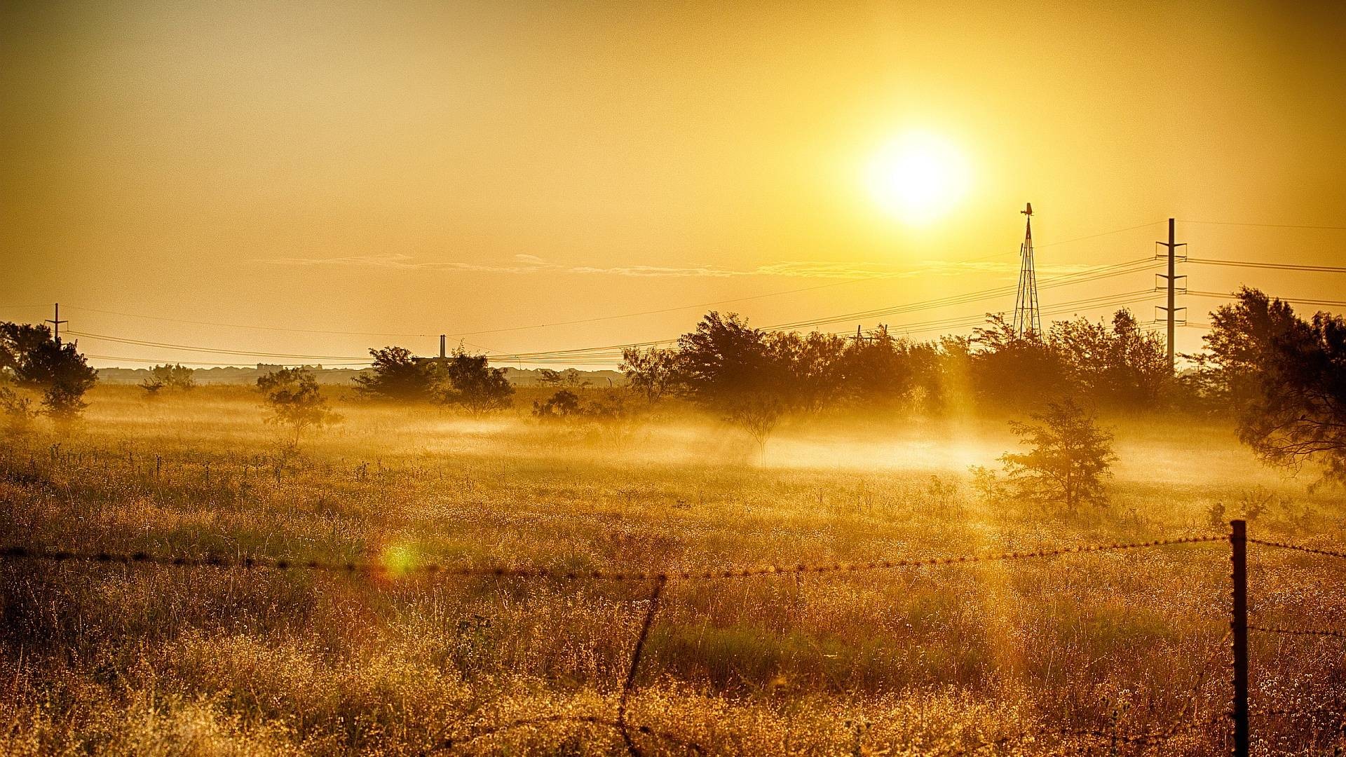 summer desktop wallpaper hd Wallpaper HD 1920x1080