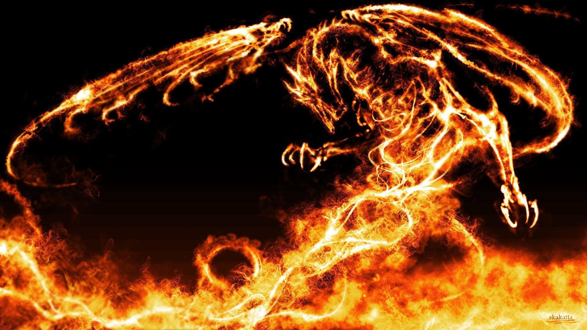 Dragon Images Wallpaper 71 Pictures