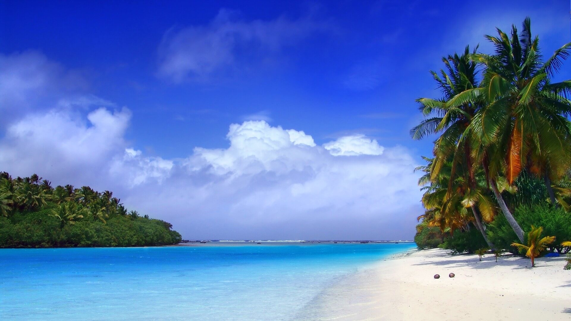 Tropical Wallpapers For iPad 1920x1080
