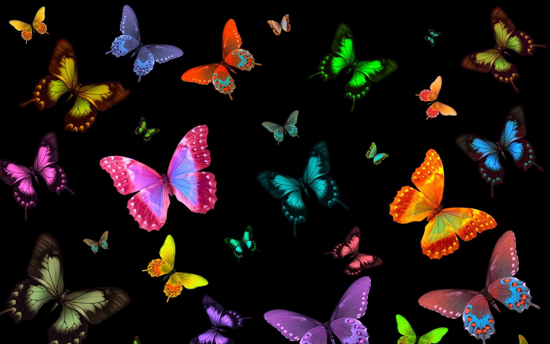 Wallpaper Blue and Black Butterfly Wings Background  Download Free Image