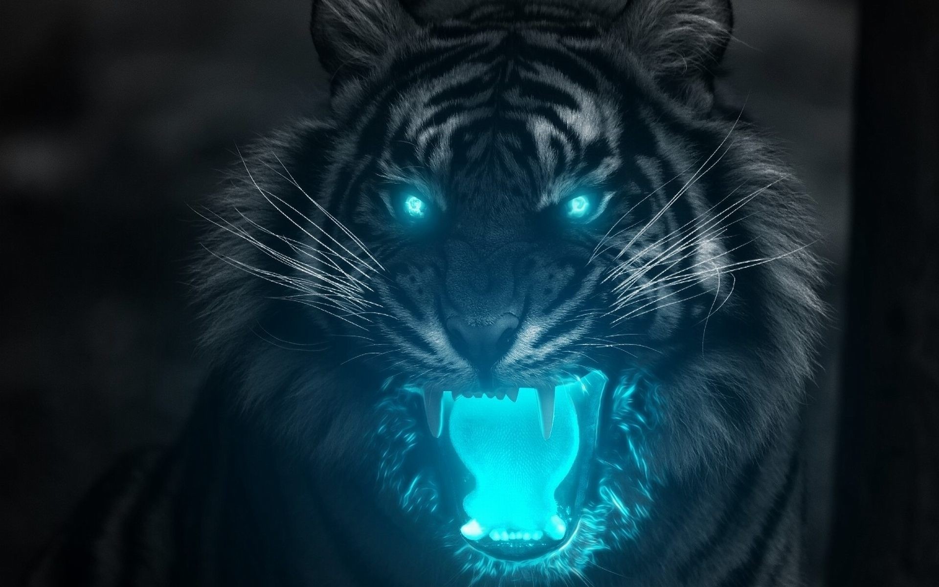 Tiger Wallpapers 65 Pictures