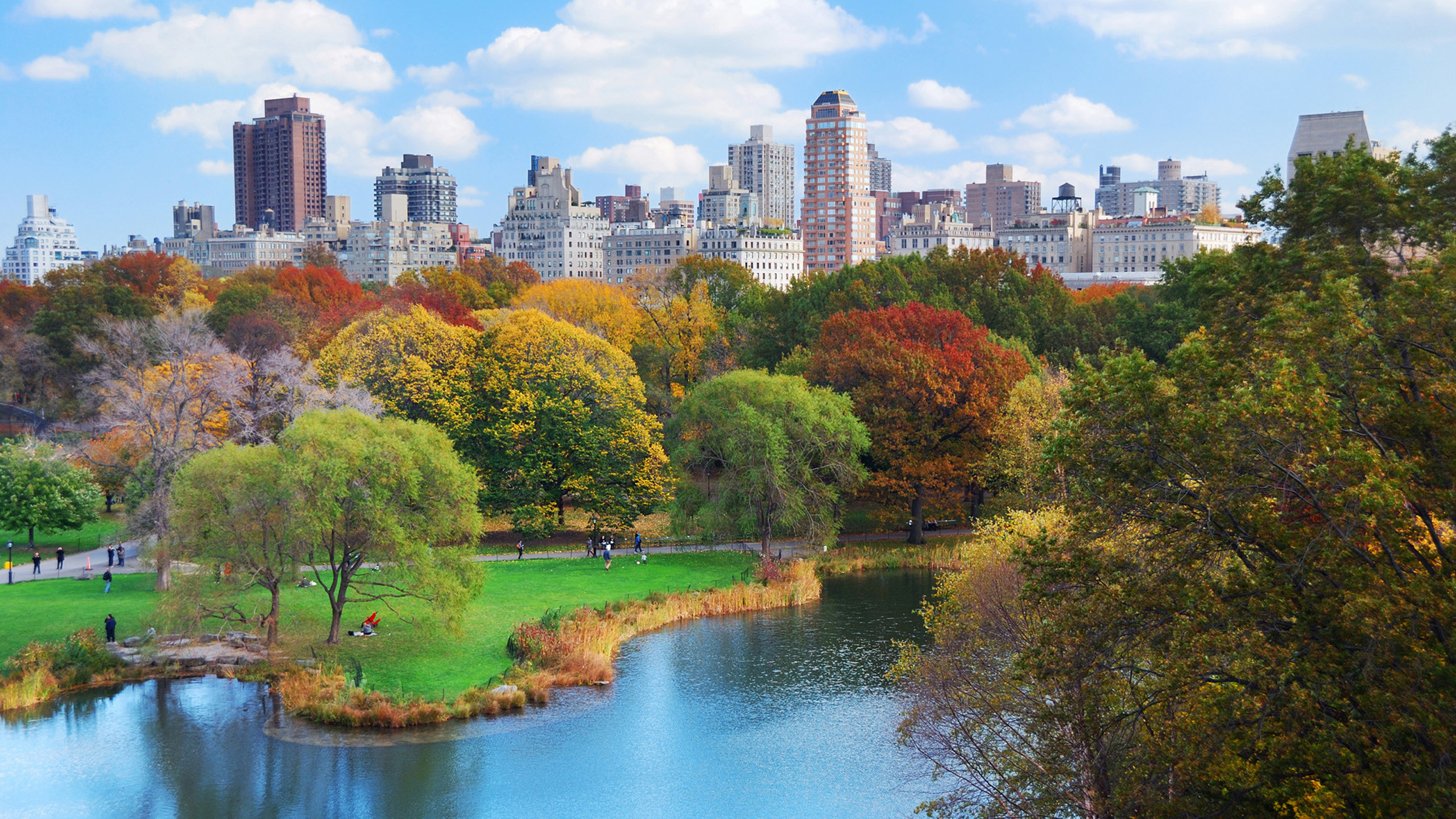 The Architect of New Yorks Central Park Has an Incredibly Unexpected  Legacy Central Park NYC HD phone wallpaper  Pxfuel