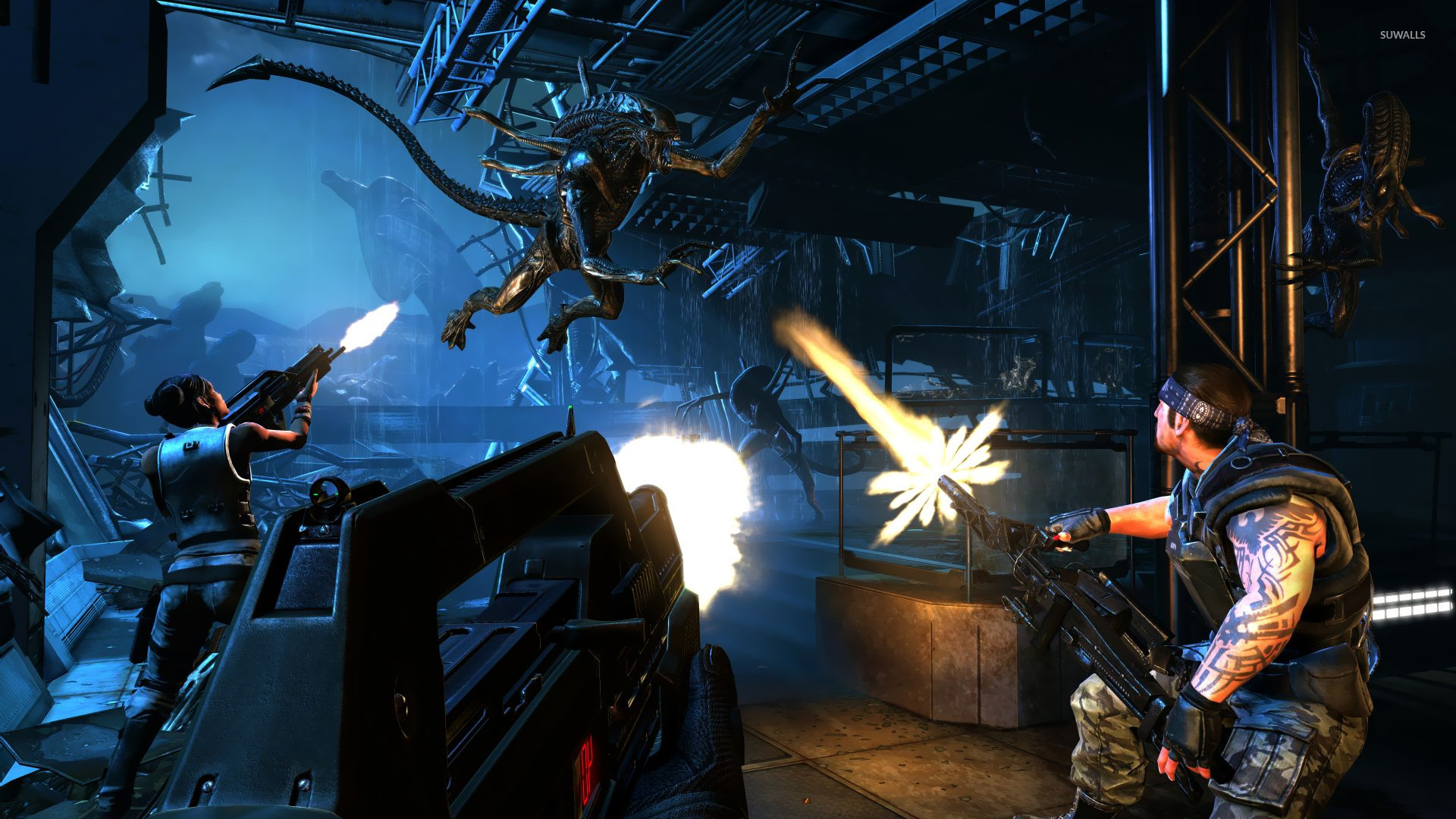 Aliens: Colonial Marines [6] wallpaper 1920x1080 jpg 1920x1080