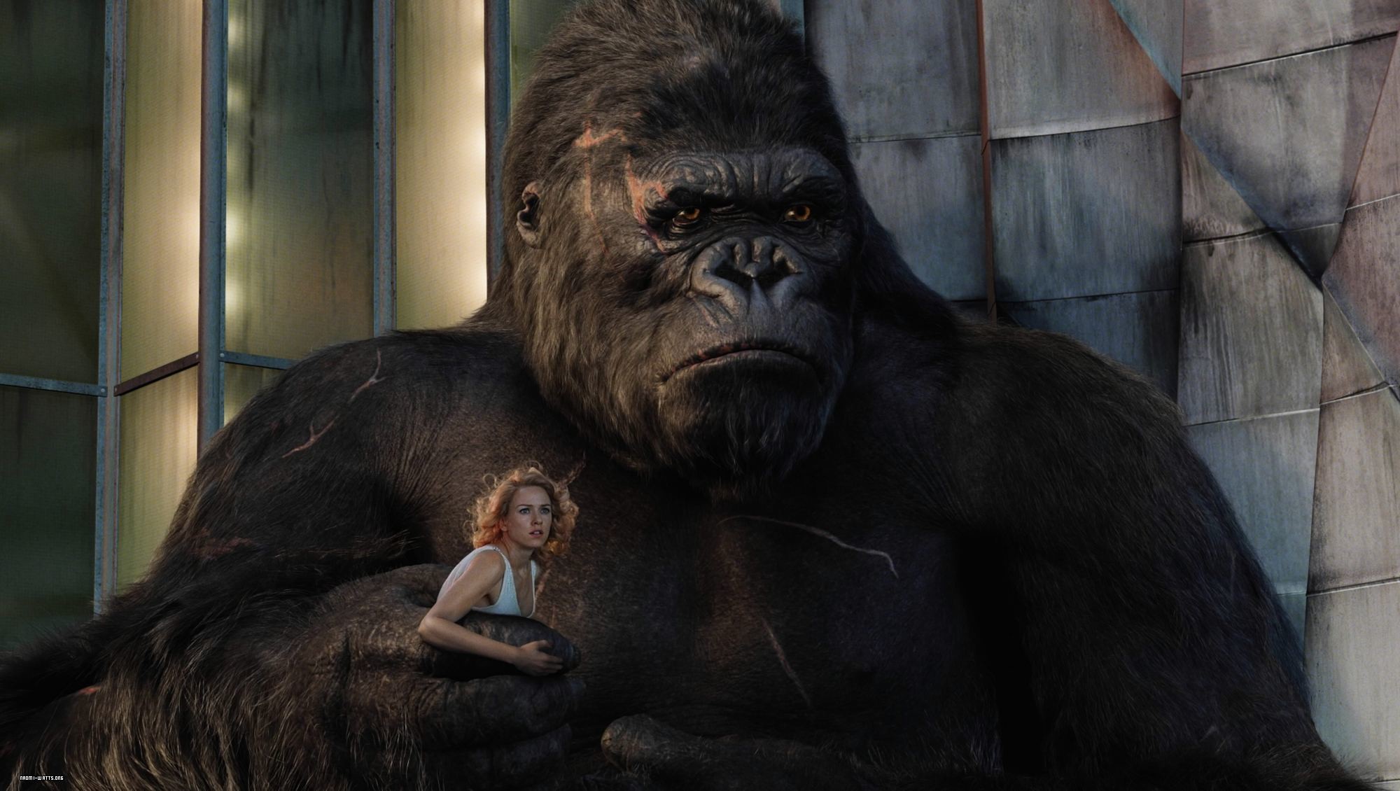 Skull Island: Rise of Kong' đã có ngày phát hành chính thức