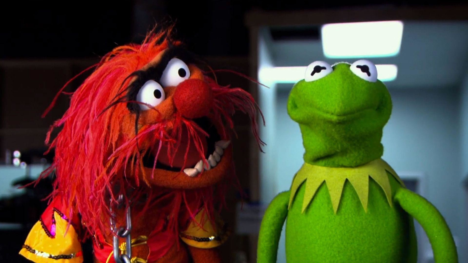 Muppet Wallpaper (61+ pictures)