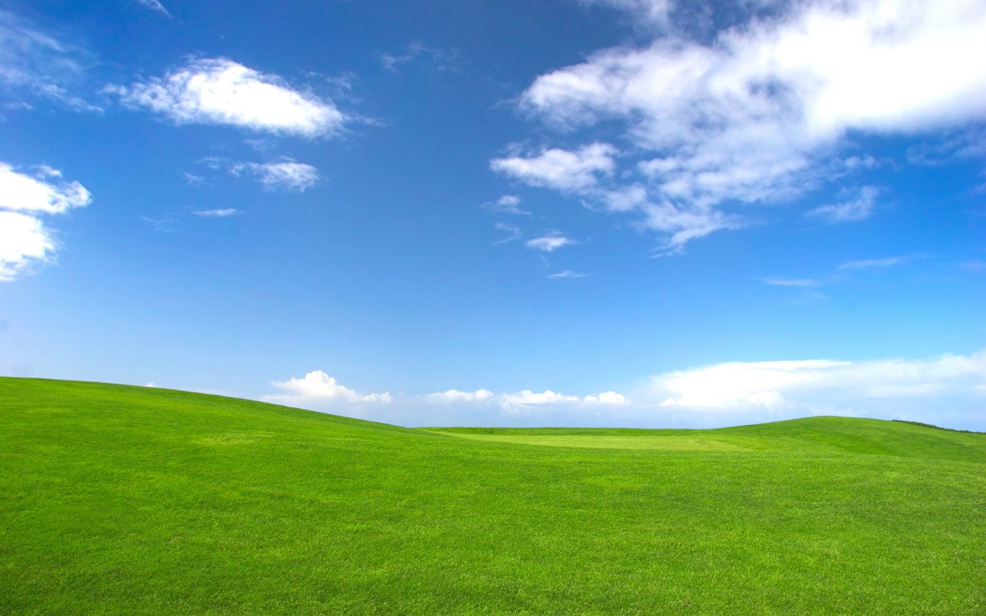 Windows XP Bliss Wallpapers  Top Free Windows XP Bliss Backgrounds   WallpaperAccess