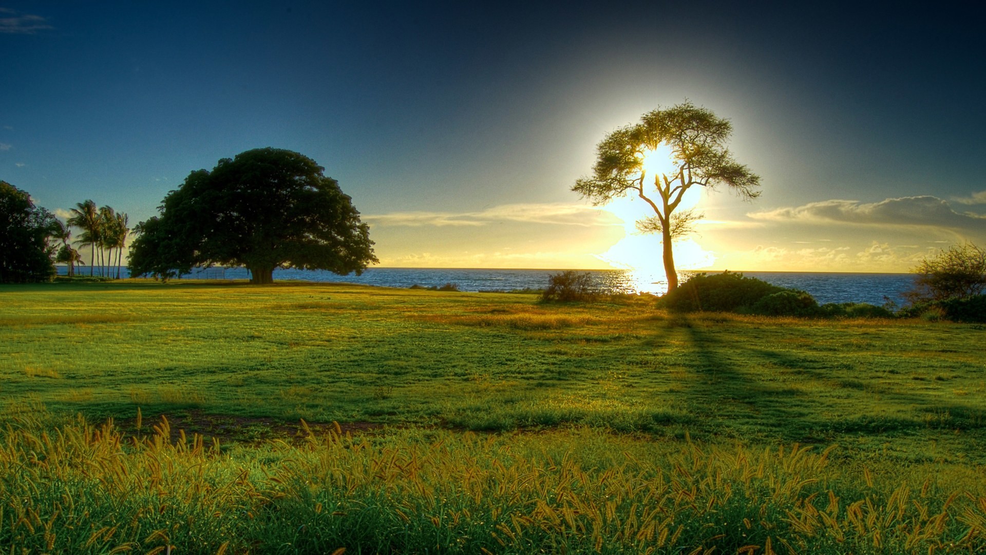 hd nature wallpapers for mac 67 pictures