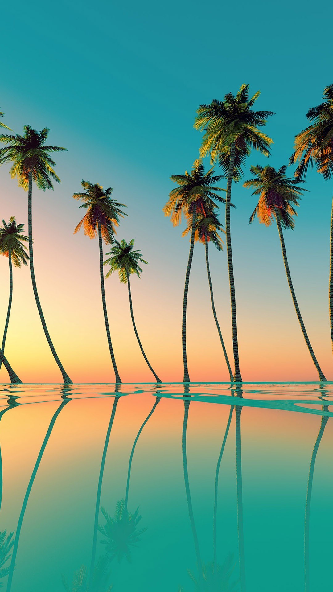 HD wallpaper Sunset on the beach coconut trees under clear sky palm  android wallpapers  Wallpaper Flare