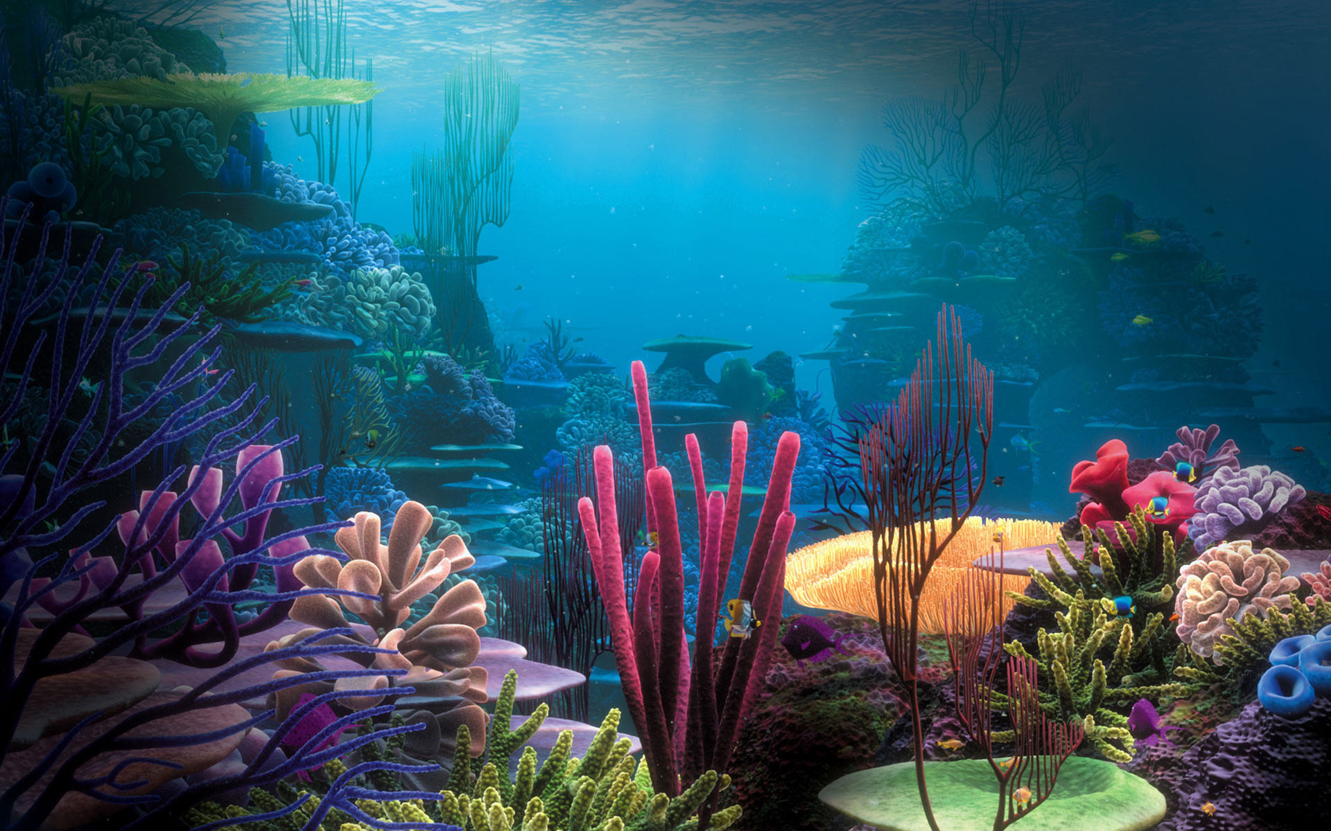 Best shop aquarium backgrounds