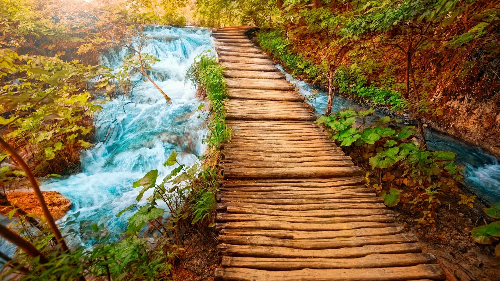 HD Nature Wallpapers 1080p 74 Pictures WallpaperSet HD Nature Wallpapers 1080p 74 Pictures WallpaperSet