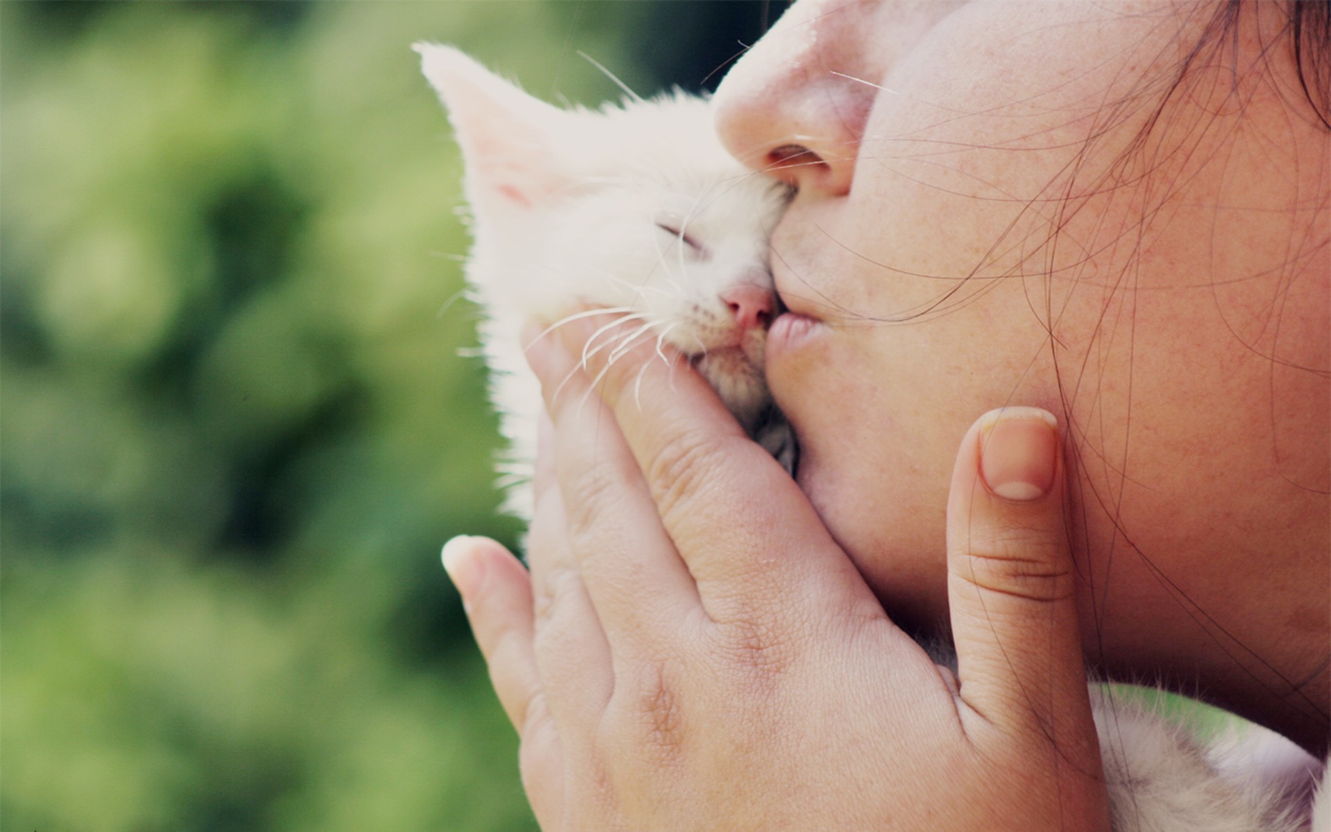 Girl Kissing Small White Cat wallpapers and stock photos 1920x1200