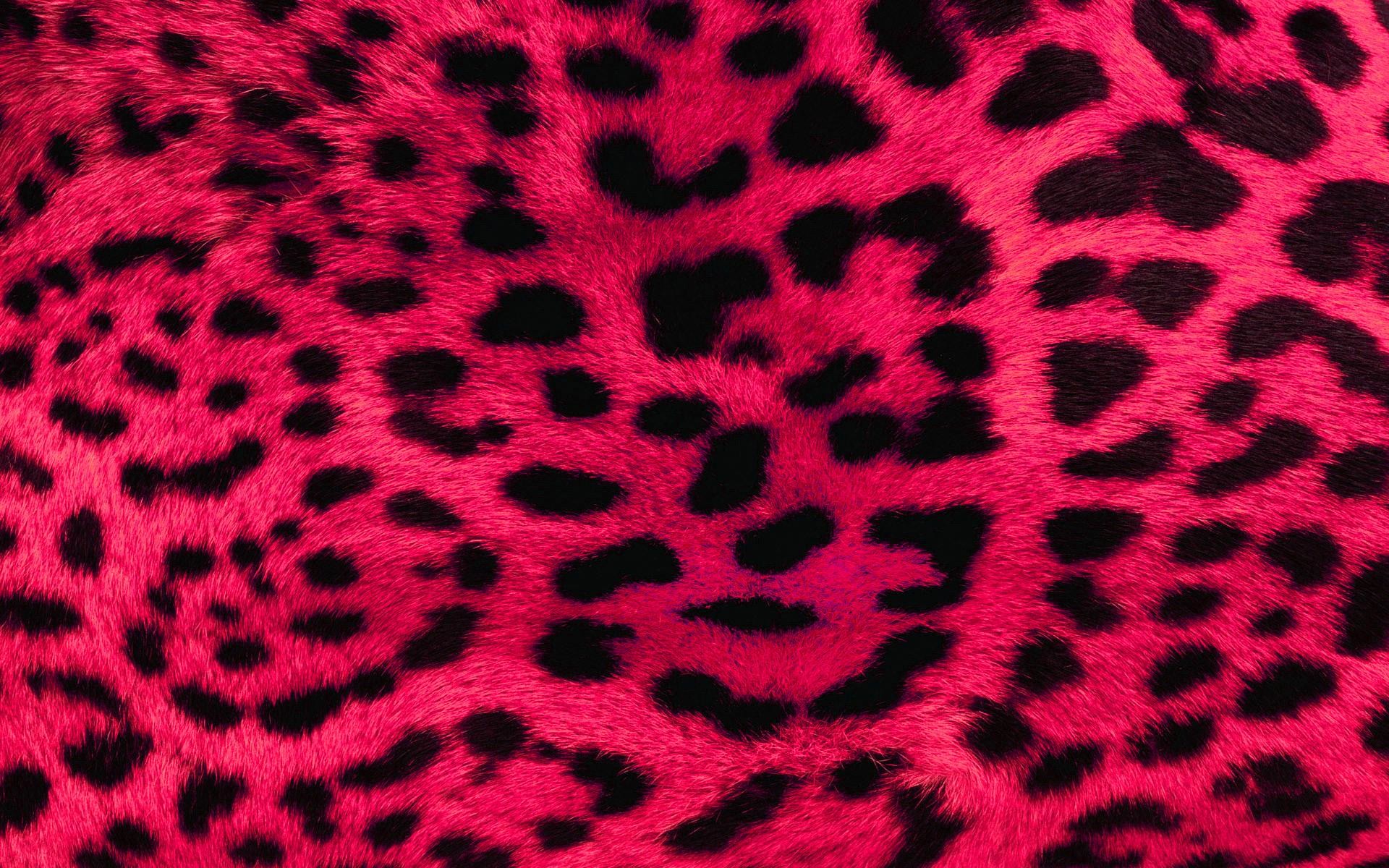 Pink Wallpaper for Computer (65+ pictures)