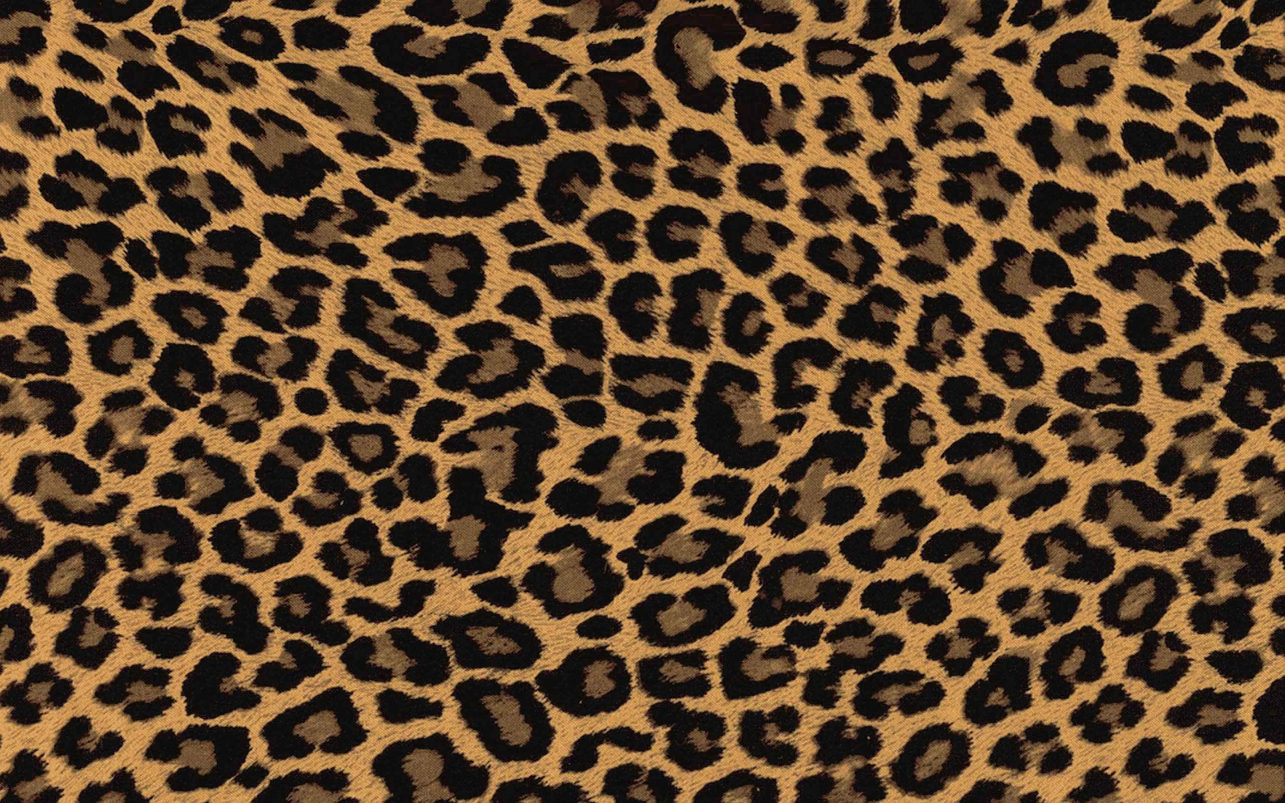 Pictures of Cheetah Print Wallpaper (55+ pictures)
