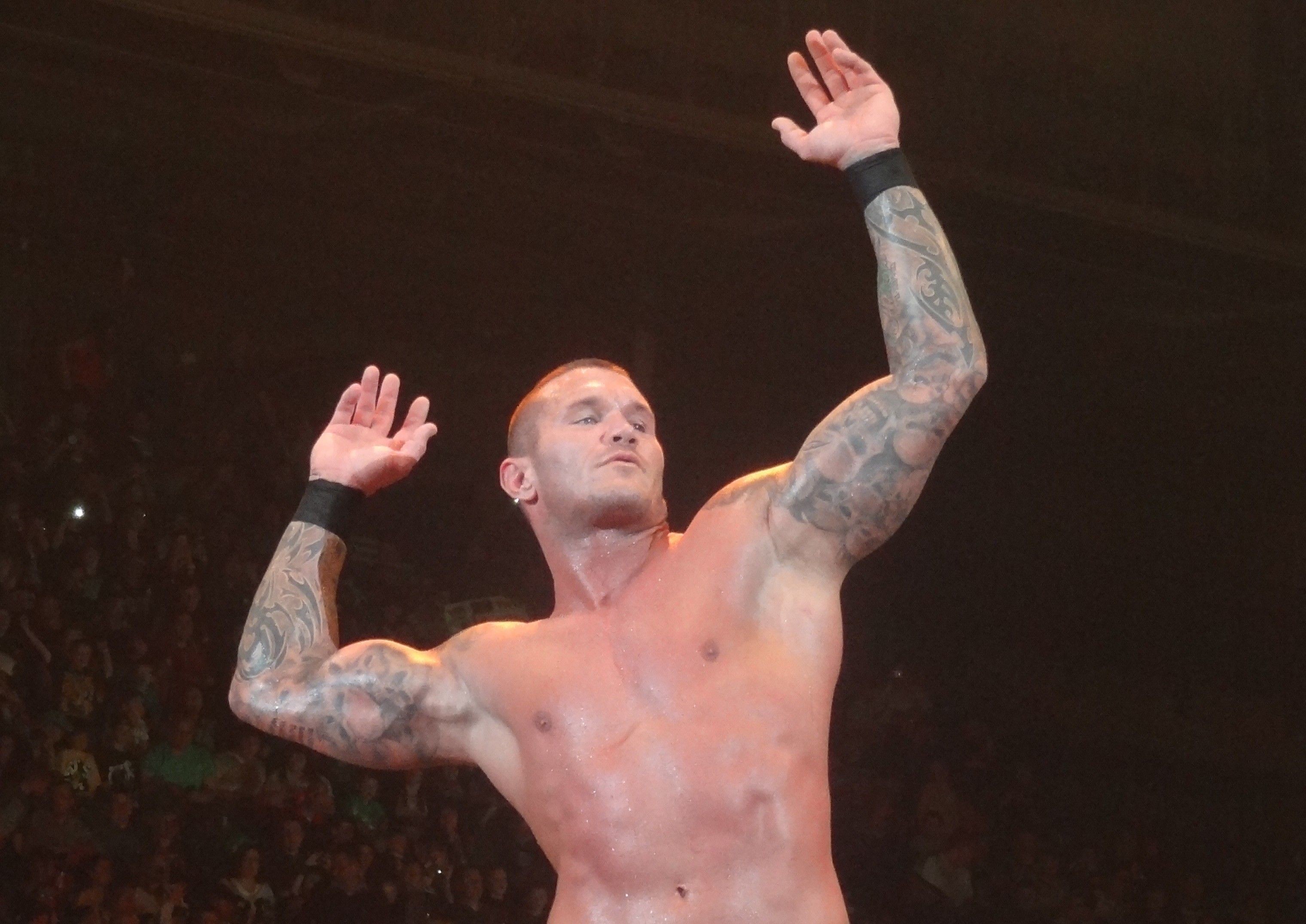 Wallpaper HD Randy Orton 2018 (52+ images) 3040x2152