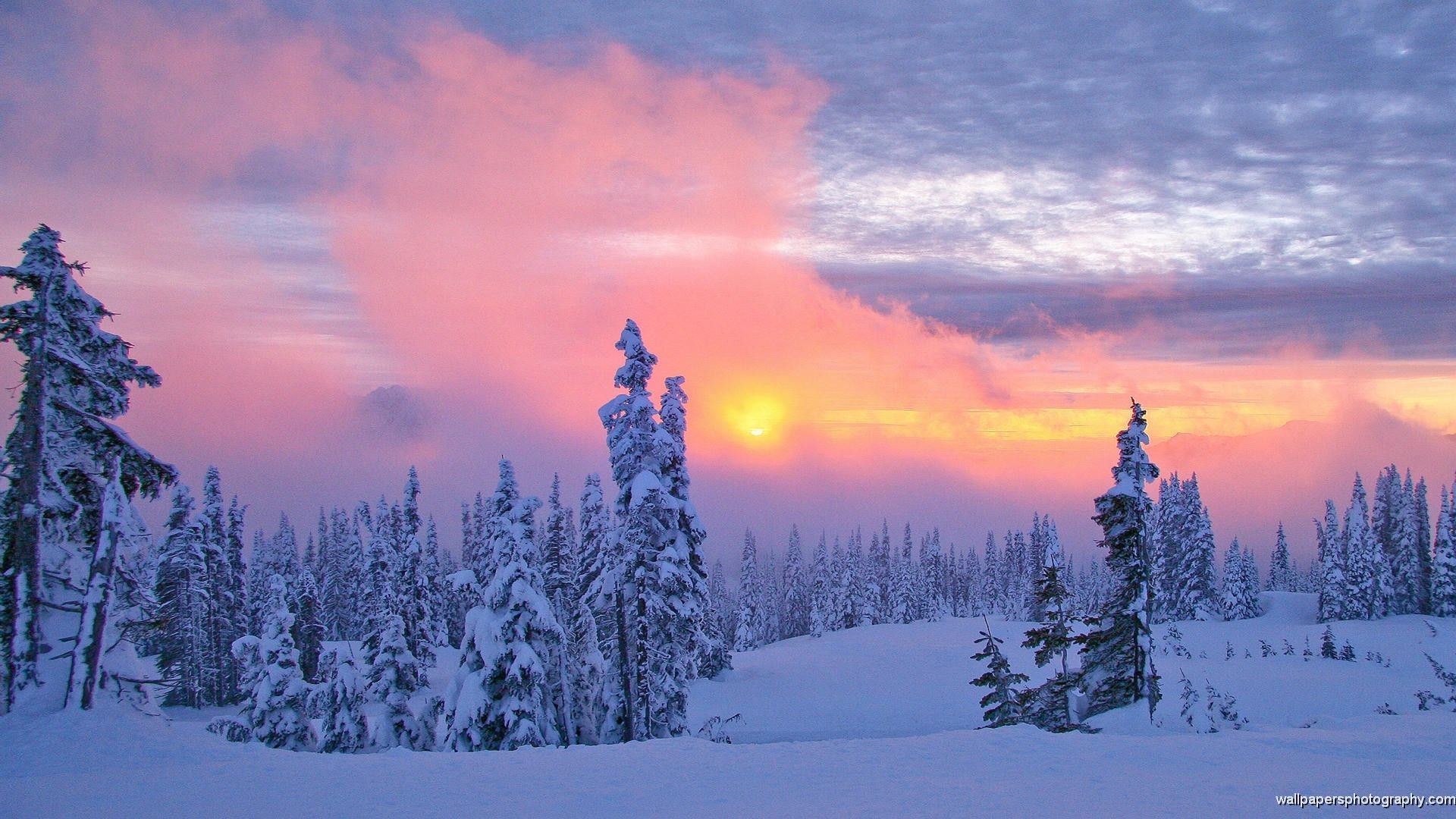 beautiful-winter-scenes-wallpaper 1920x1080