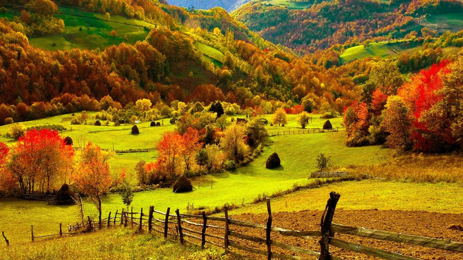 Autumn Wallpaper 1920x1080