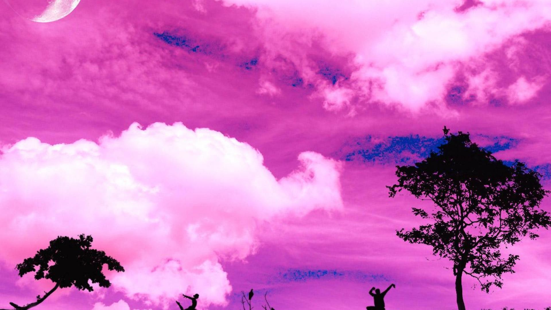 Pink Computer Background 60 Pictures